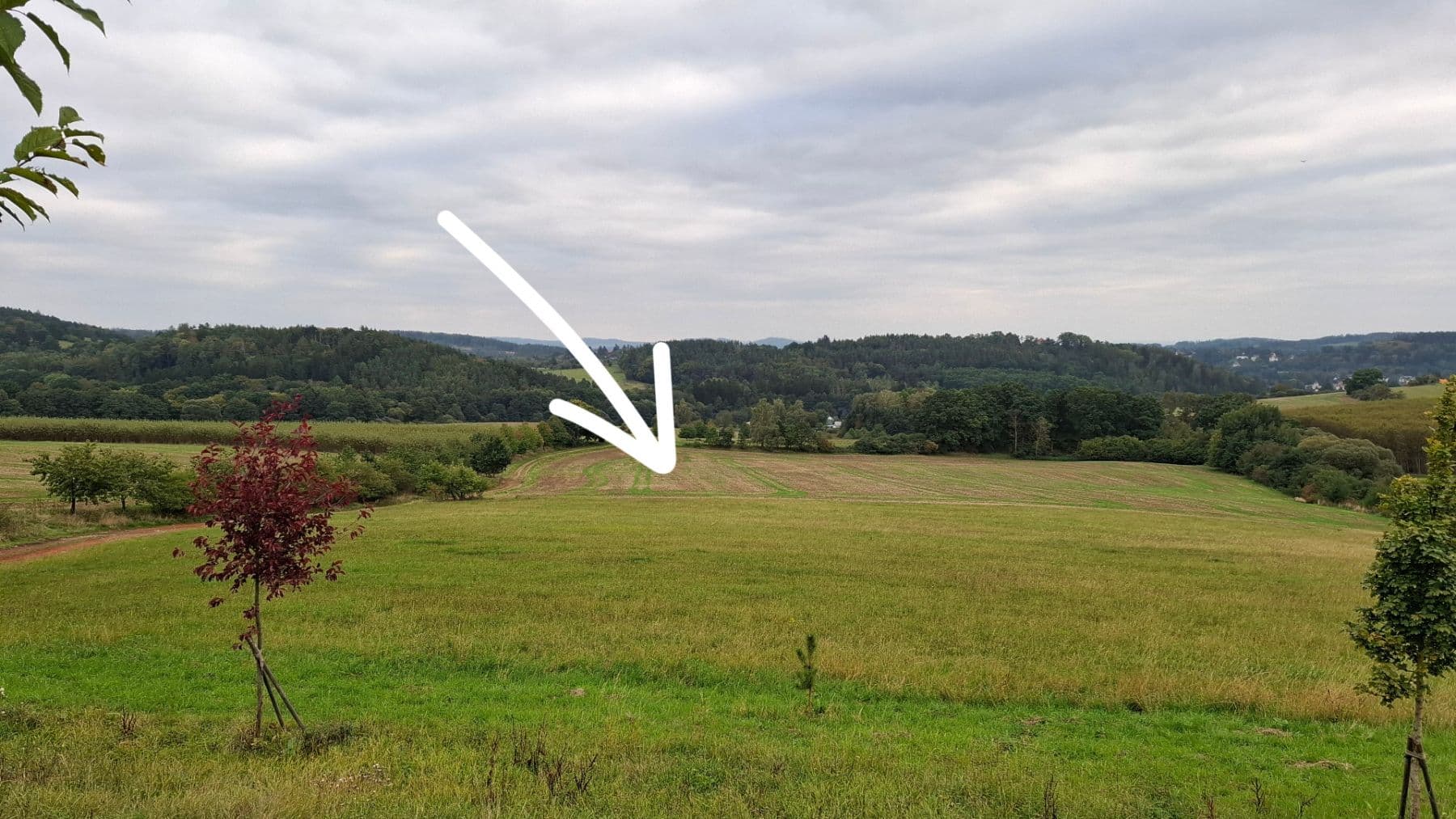 Predaj pozemku 10.053 m², Klokočná, Středočeský kraj Predaj pozemku 10.053 m², Klokočná, Středočeský kraj