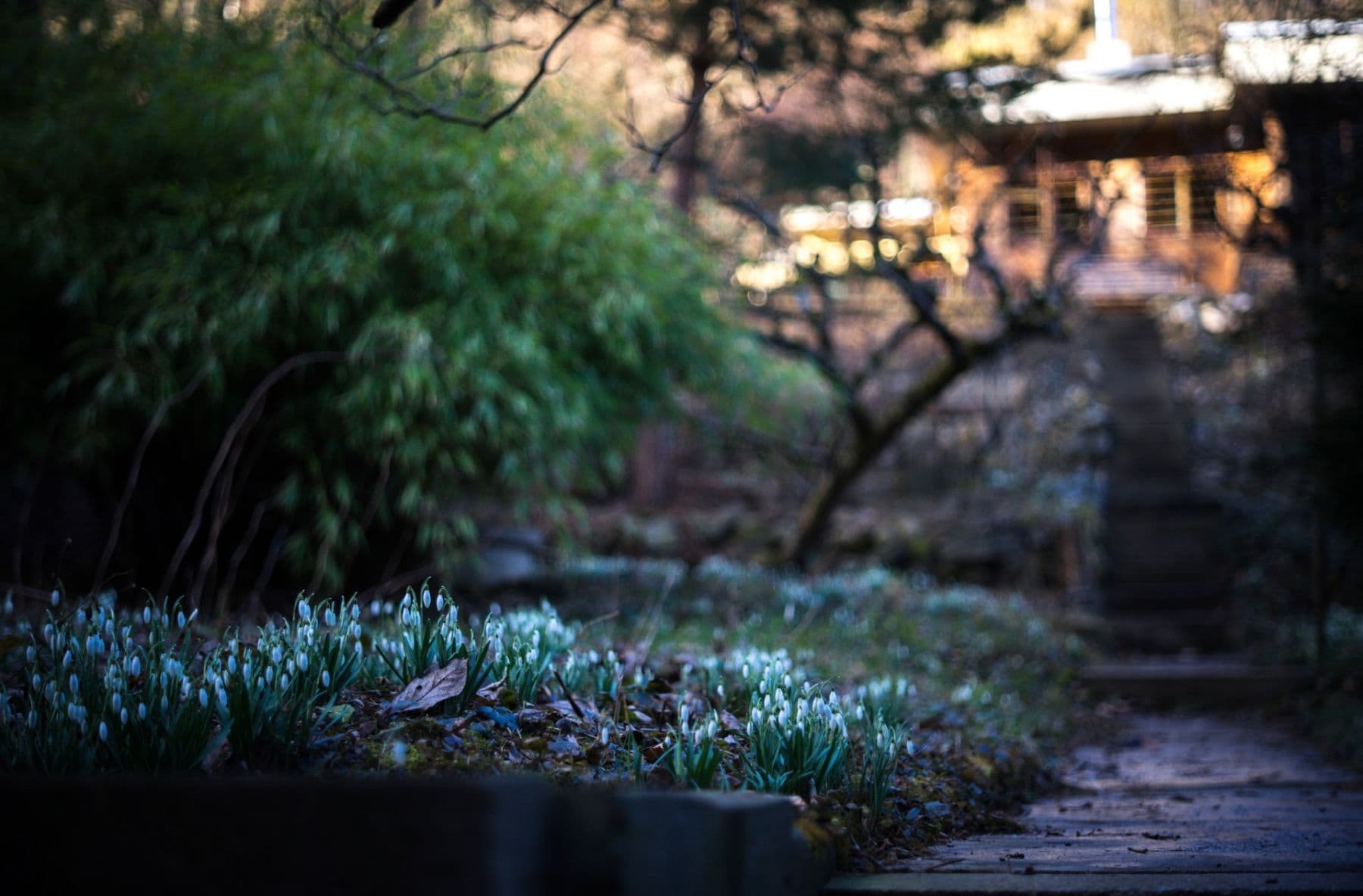 Predaj rekreačného objektu 74 m², pozemek 1 m², Brno, Jihomoravský kraj Predaj rekreačného objektu 74 m², pozemek 1 m², Brno, Jihomoravský kraj
