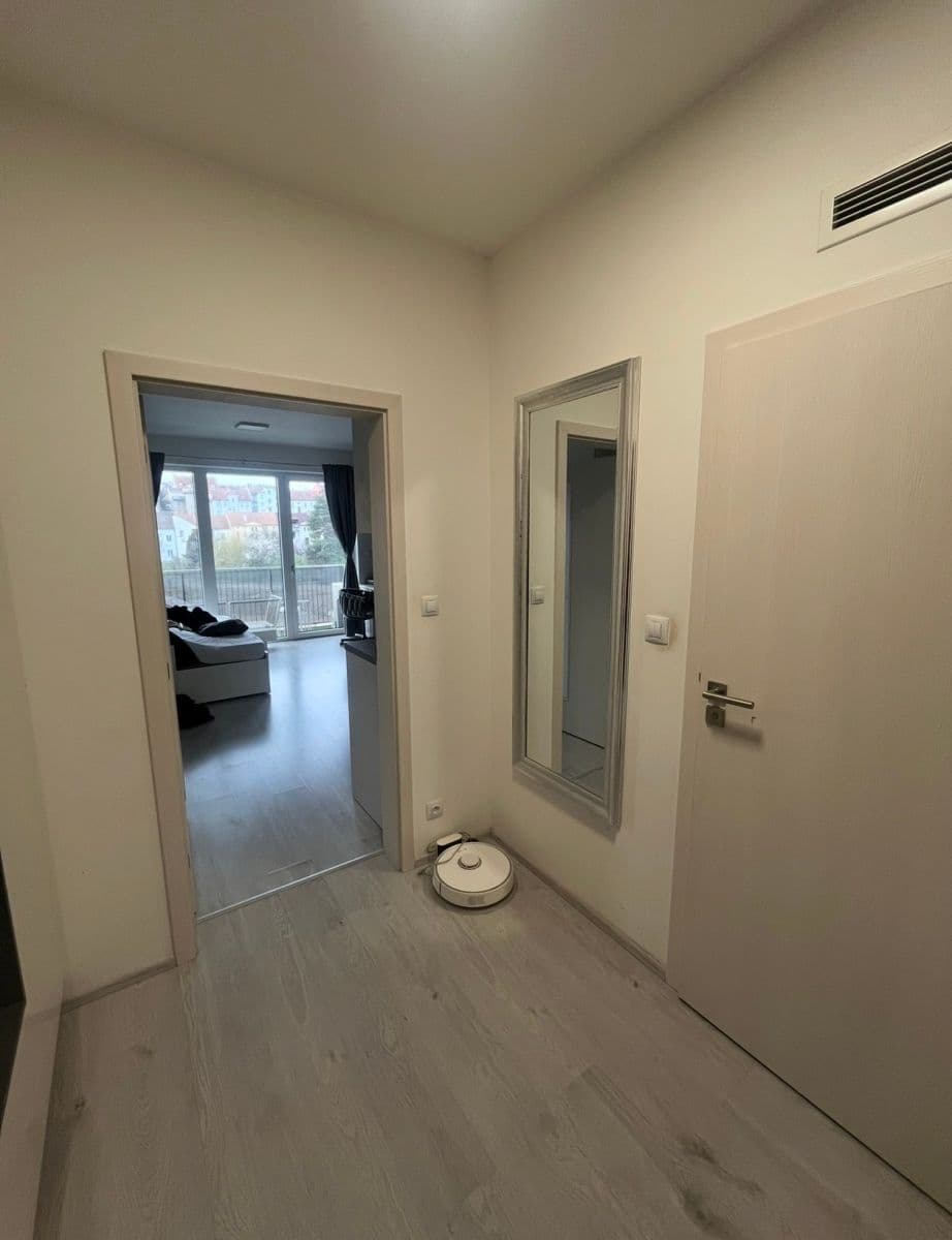 Prenájom bytu 1-izbový 38 m², Střední, Brno, Jihomoravský kraj Prenájom bytu 1-izbový 38 m², Střední, Brno, Jihomoravský kraj