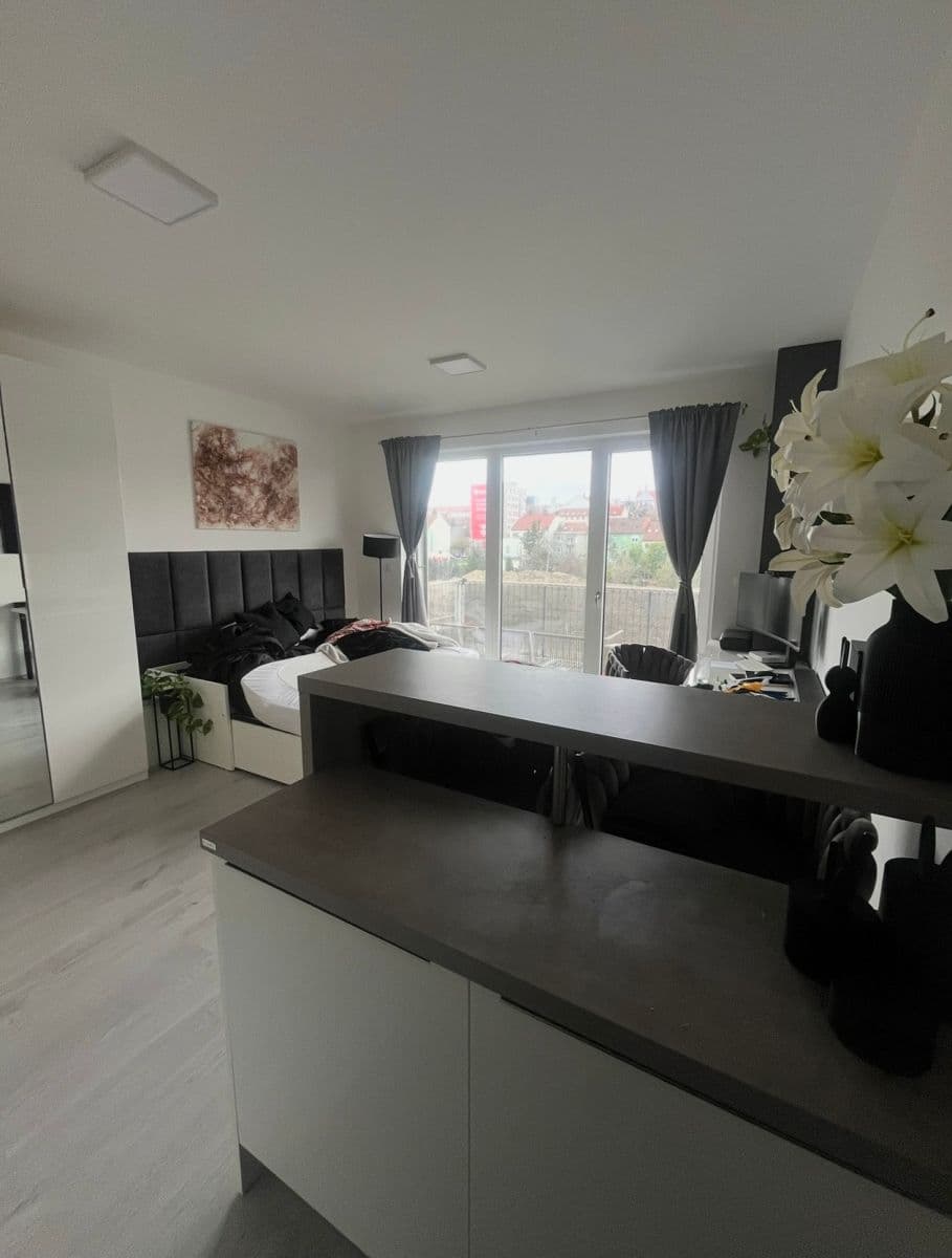 Prenájom bytu 1-izbový 38 m², Střední, Brno, Jihomoravský kraj Prenájom bytu 1-izbový 38 m², Střední, Brno, Jihomoravský kraj