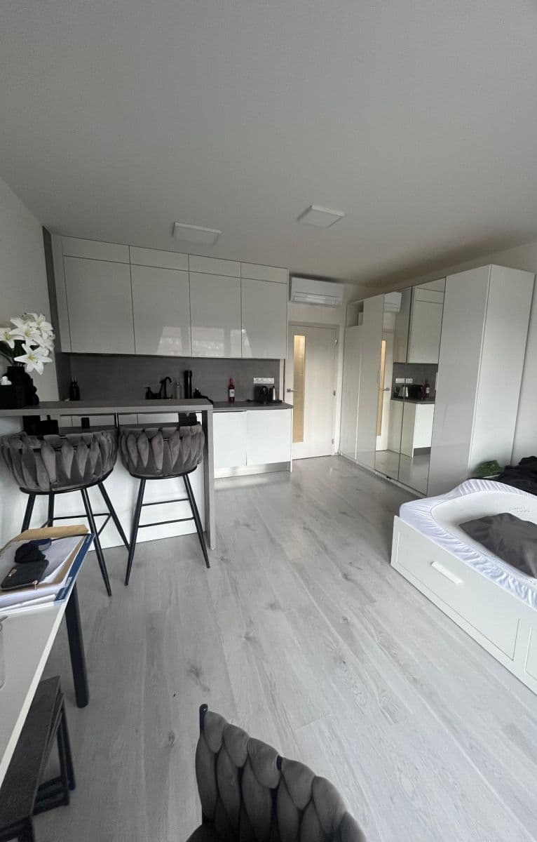 Prenájom bytu 1-izbový 38 m², Střední, Brno, Jihomoravský kraj Prenájom bytu 1-izbový 38 m², Střední, Brno, Jihomoravský kraj