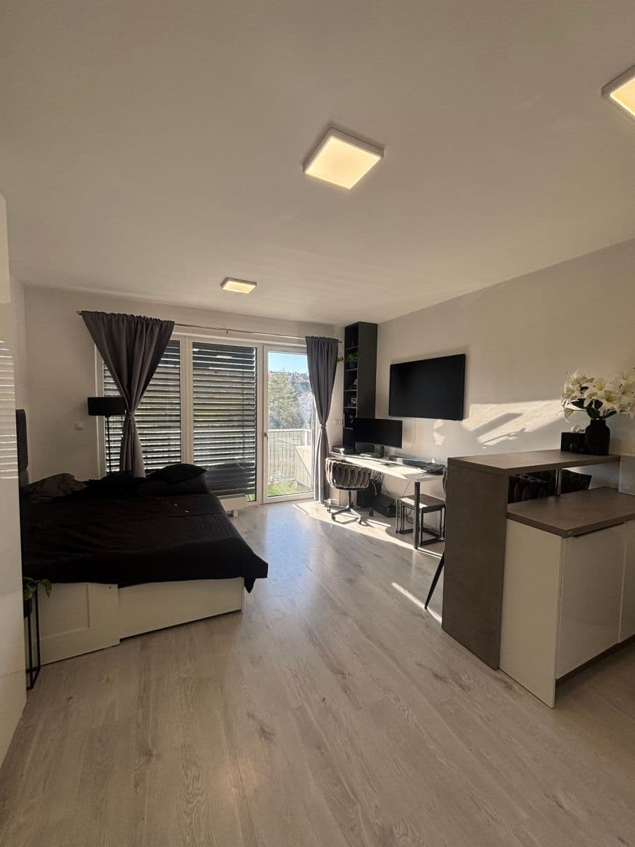 Prenájom bytu 1-izbový 38 m², Střední, Brno, Jihomoravský kraj Prenájom bytu 1-izbový 38 m², Střední, Brno, Jihomoravský kraj