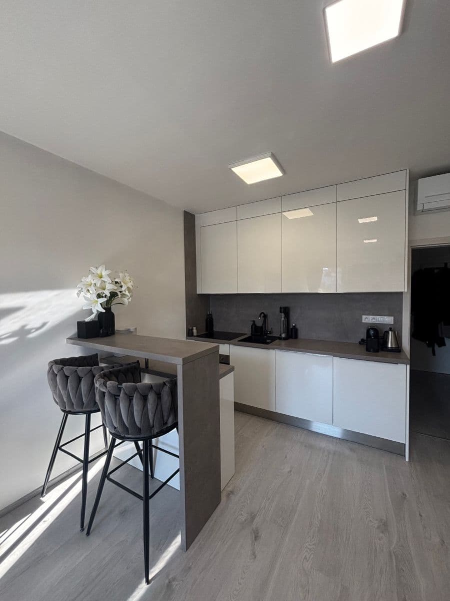 Prenájom bytu 1-izbový 38 m², Střední, Brno, Jihomoravský kraj Prenájom bytu 1-izbový 38 m², Střední, Brno, Jihomoravský kraj