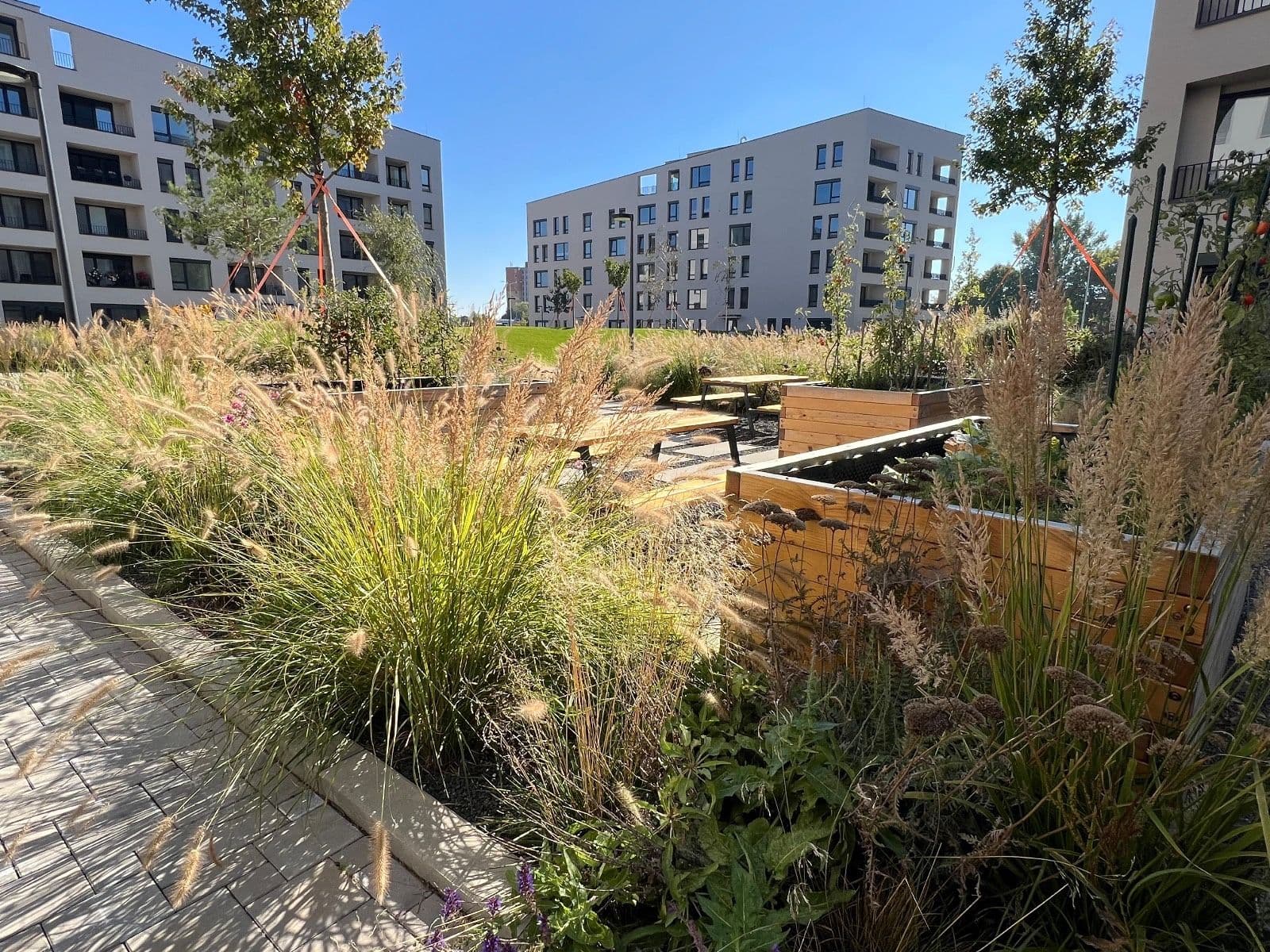 Prenájom bytu 2-izbový 54 m², Včelárska, Trnava, Trnavský kraj Prenájom bytu 2-izbový 54 m², Včelárska, Trnava, Trnavský kraj