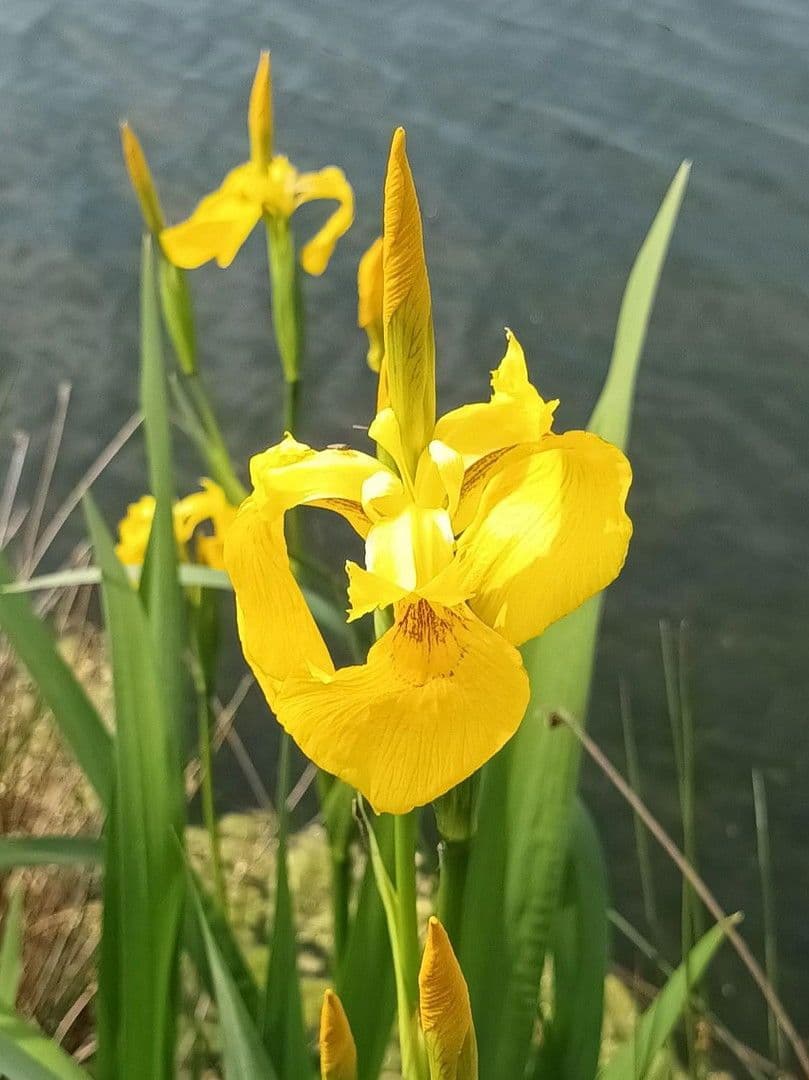 Predaj domu 235 m², pozemek 809 m², Lünne, Dolné Sasko Predaj domu 235 m², pozemek 809 m², Lünne, Dolné Sasko