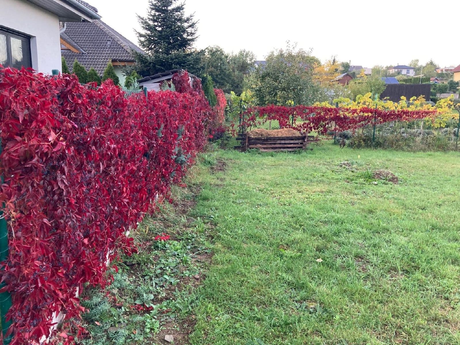 Predaj pozemku 1.026 m², Statenice, Středočeský kraj Predaj pozemku 1.026 m², Statenice, Středočeský kraj