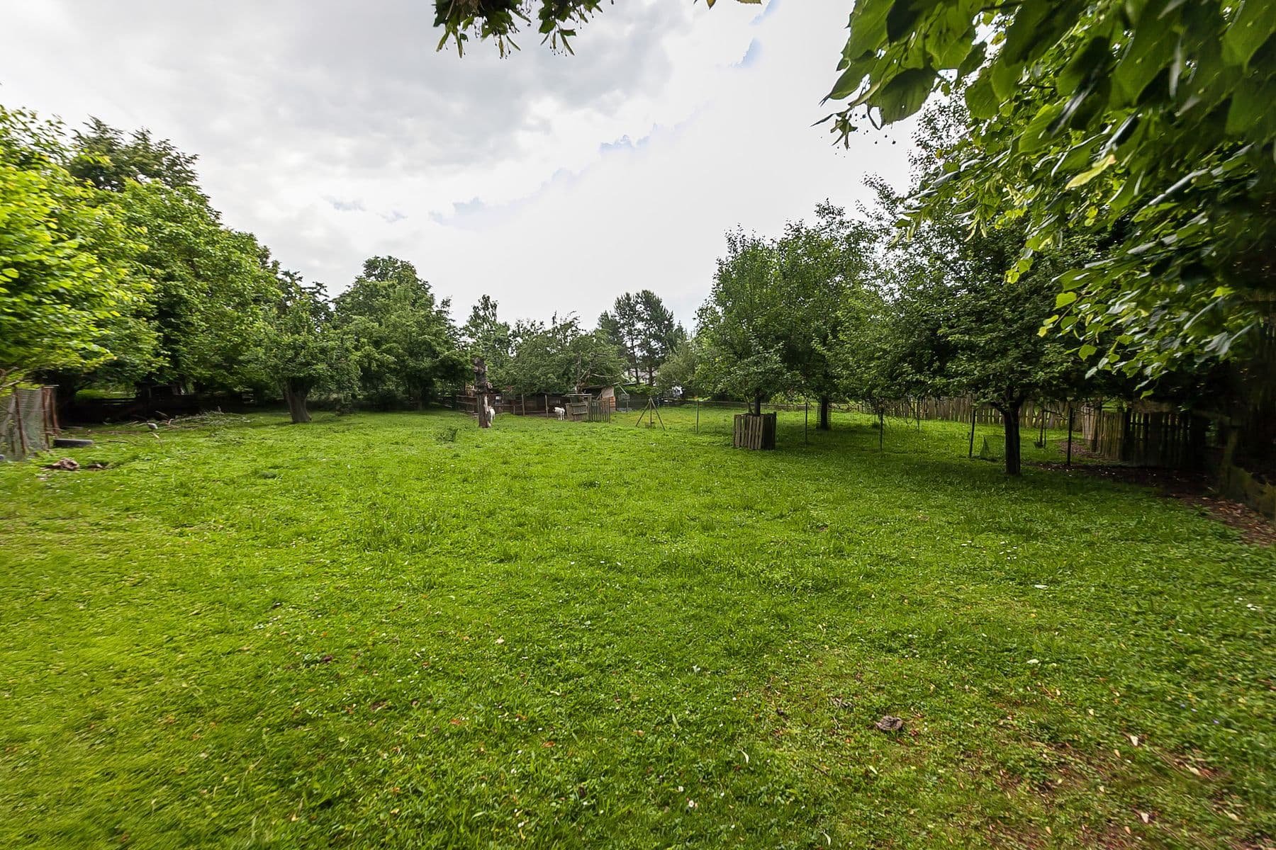 Predaj pozemku 1.559 m², Nová Ves, Jihomoravský kraj Predaj pozemku 1.559 m², Nová Ves, Jihomoravský kraj