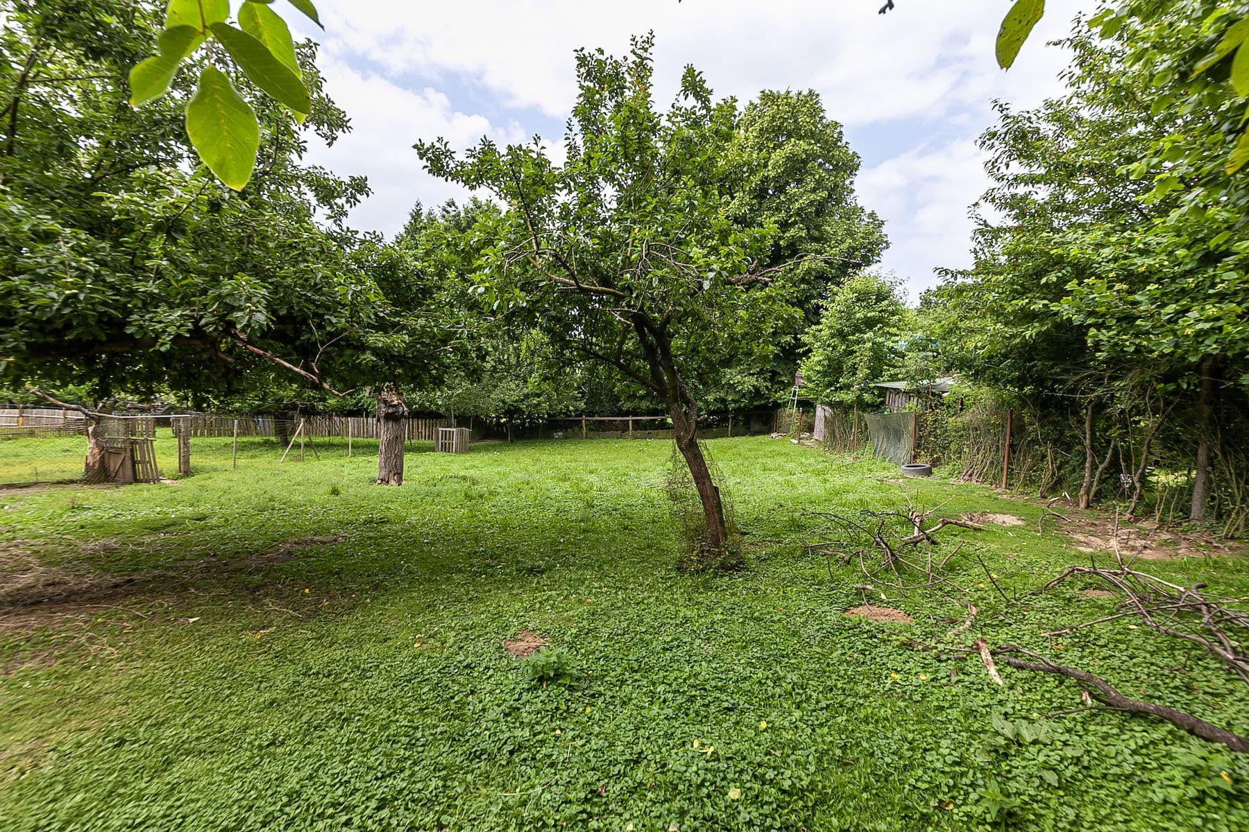 Predaj pozemku 1.559 m², Nová Ves, Jihomoravský kraj Predaj pozemku 1.559 m², Nová Ves, Jihomoravský kraj