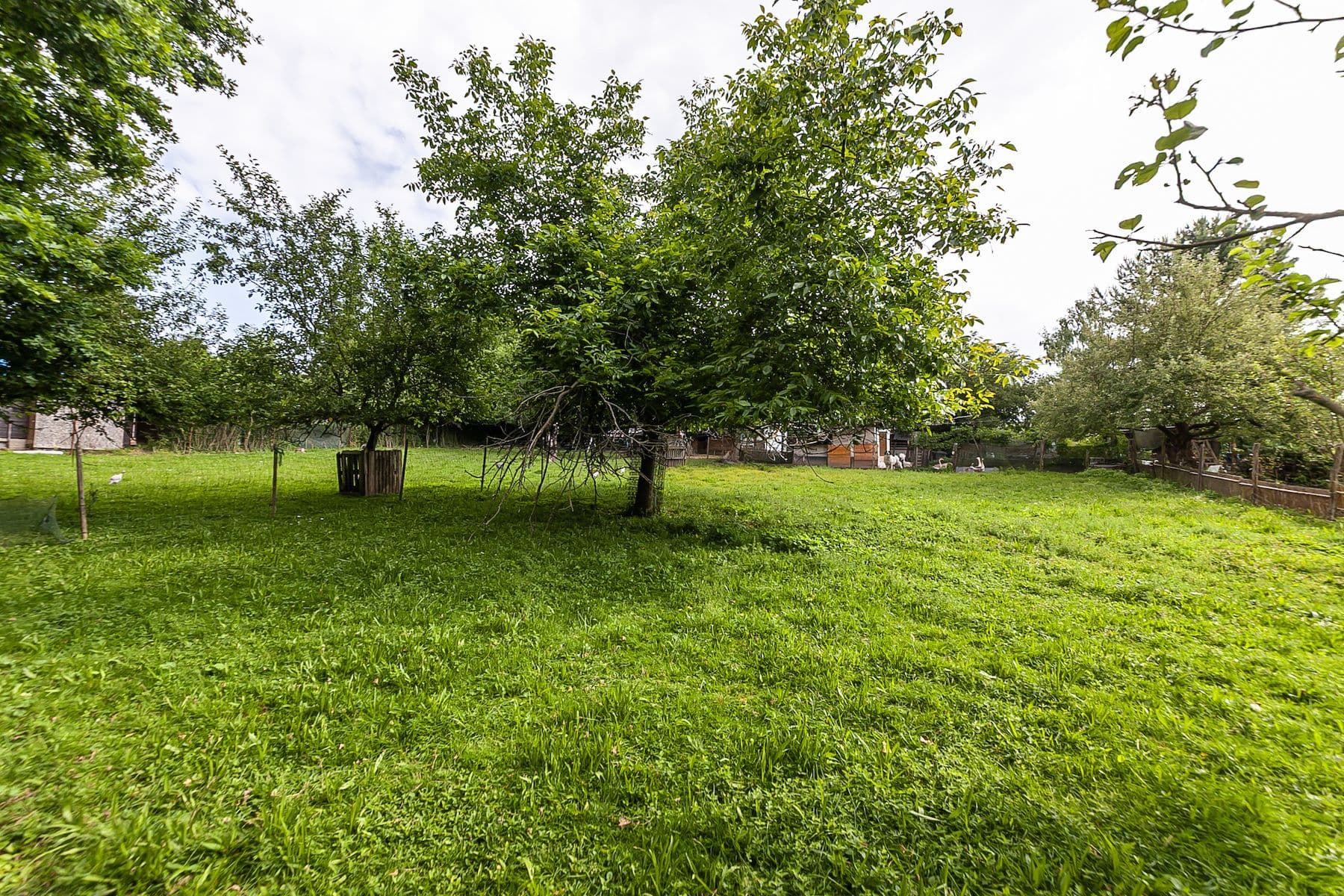 Predaj pozemku 1.559 m², Nová Ves, Jihomoravský kraj Predaj pozemku 1.559 m², Nová Ves, Jihomoravský kraj