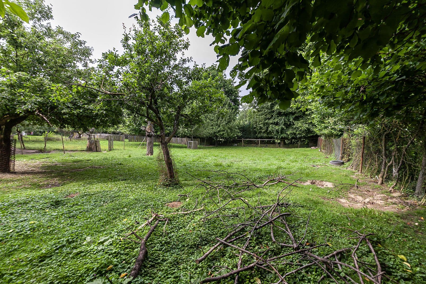 Predaj pozemku 1.559 m², Nová Ves, Jihomoravský kraj Predaj pozemku 1.559 m², Nová Ves, Jihomoravský kraj