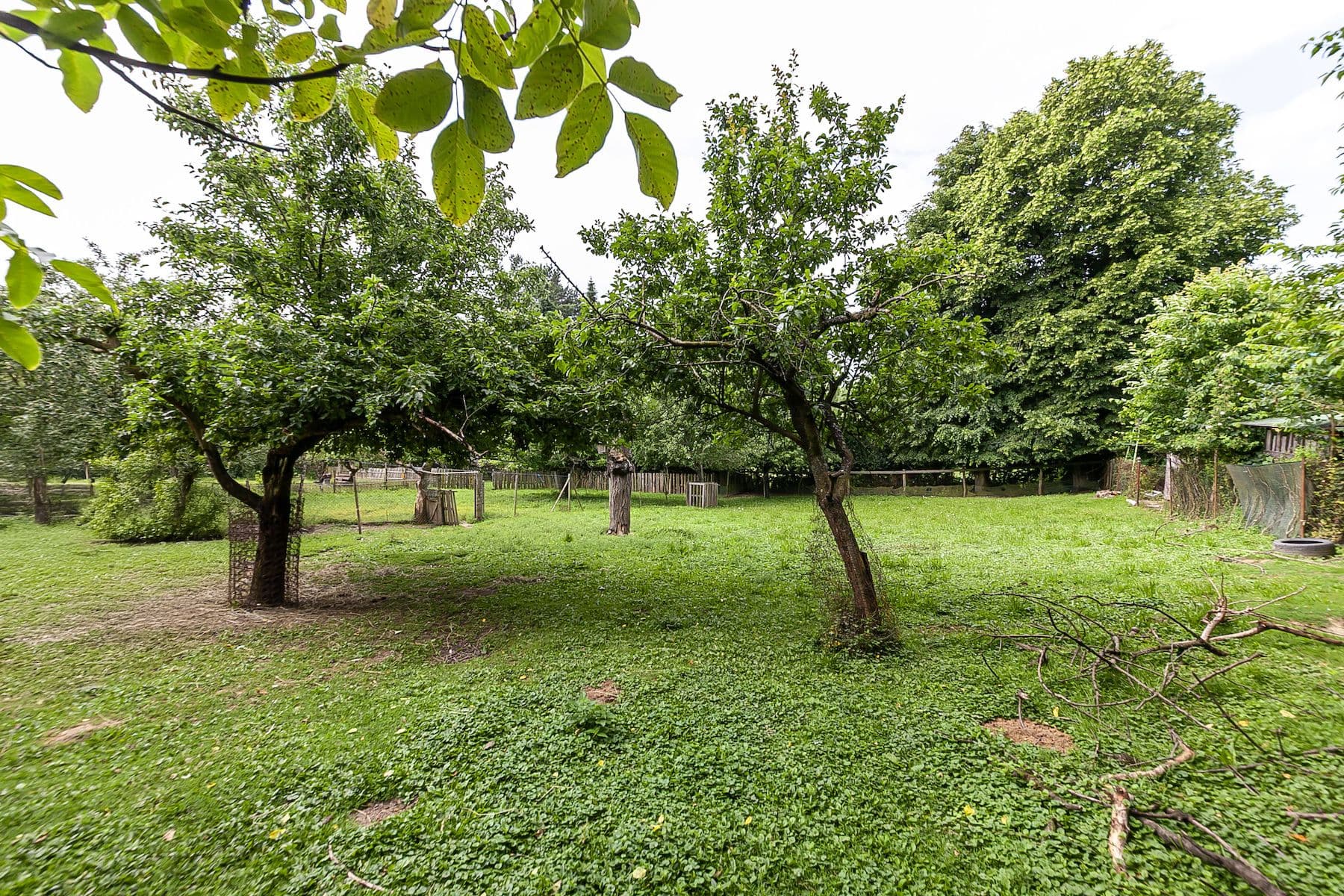 Predaj pozemku 1.559 m², Nová Ves, Jihomoravský kraj Predaj pozemku 1.559 m², Nová Ves, Jihomoravský kraj