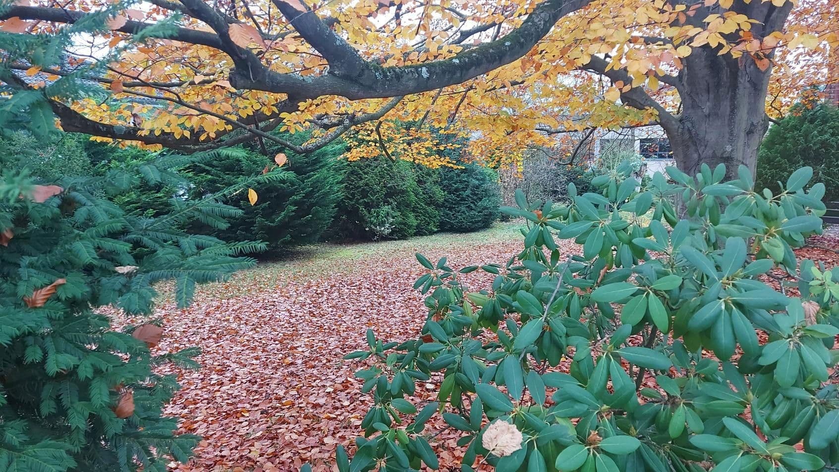 Predaj domu 145 m², pozemek 802 m², Bendorf, Porýnie-Falcko Predaj domu 145 m², pozemek 802 m², Bendorf, Porýnie-Falcko