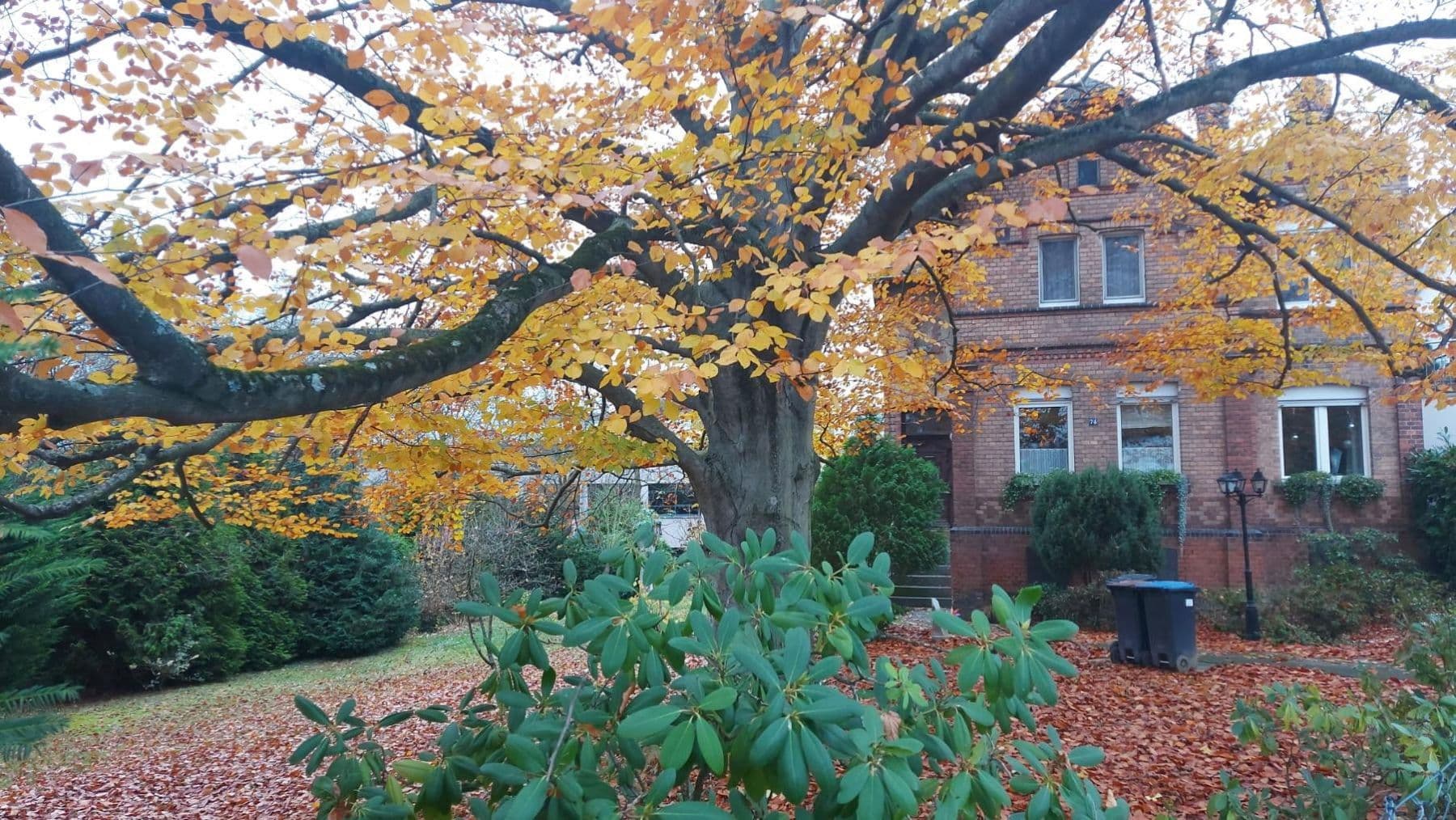 Predaj domu 145 m², pozemek 802 m², Bendorf, Porýnie-Falcko Predaj domu 145 m², pozemek 802 m², Bendorf, Porýnie-Falcko