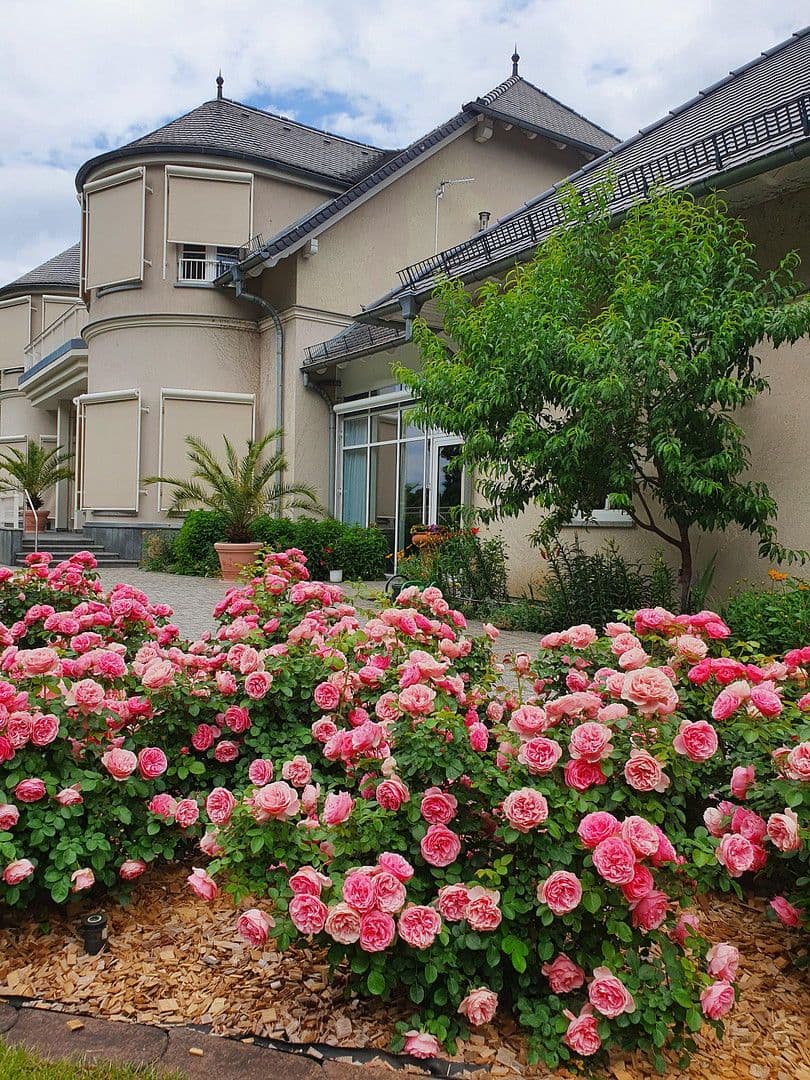 Predaj domu 1.082 m², pozemek 9.536 m², Kolkwitz, Brandenbursko Predaj domu 1.082 m², pozemek 9.536 m², Kolkwitz, Brandenbursko