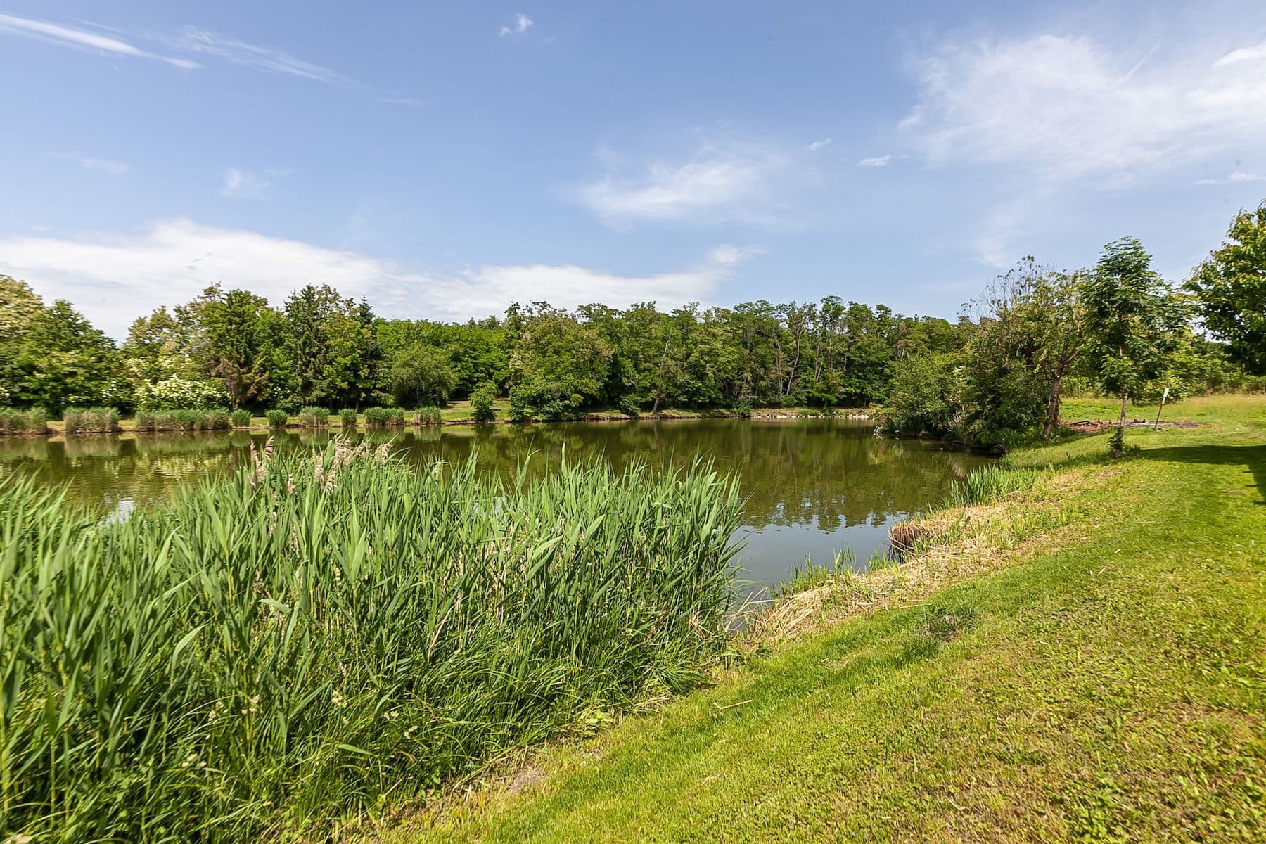 Predaj pozemku 1.636 m², Odolena Voda, Středočeský kraj Predaj pozemku 1.636 m², Odolena Voda, Středočeský kraj