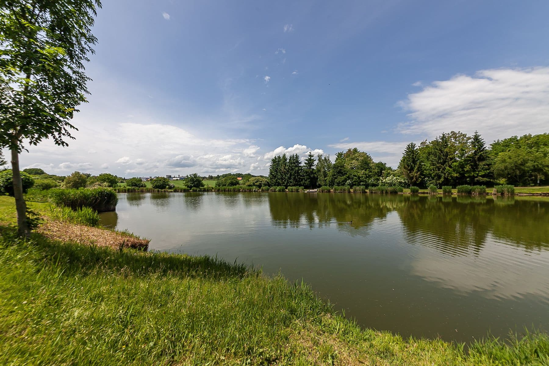 Predaj pozemku 1.636 m², Odolena Voda, Středočeský kraj Predaj pozemku 1.636 m², Odolena Voda, Středočeský kraj