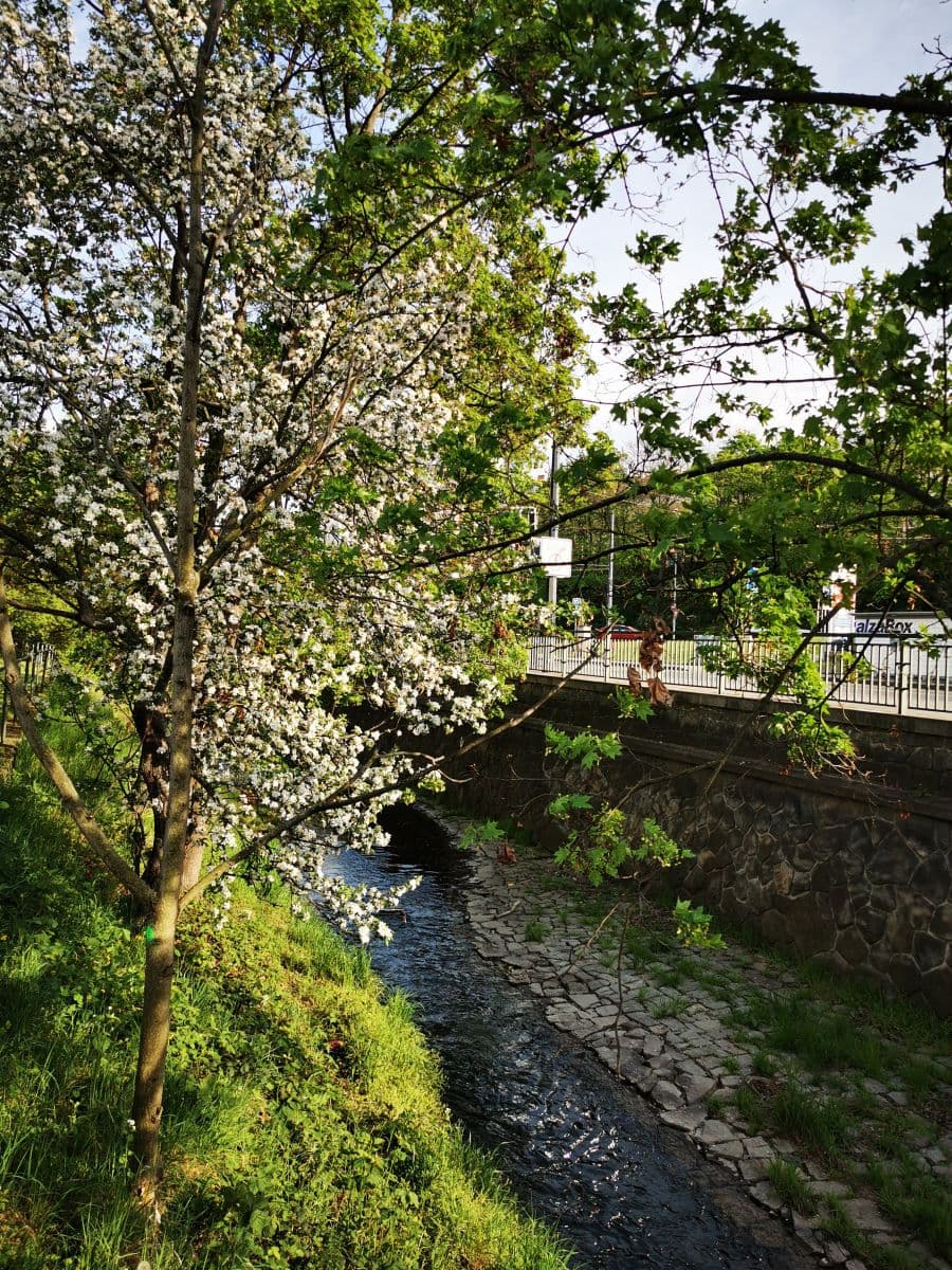 Prenájom bytu 50 m², Závišova a, Praha, Praha Prenájom bytu 50 m², Závišova a, Praha, Praha