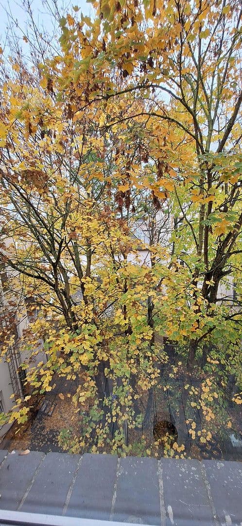 Prenájom bytu 4-izbový 130 m², Halberstädterstrasse 82, Magdeburg, Sasko-Anhaltsko Prenájom bytu 4-izbový 130 m², Halberstädterstrasse 82, Magdeburg, Sasko-Anhaltsko