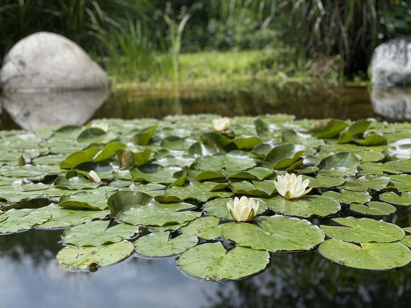 Predaj domu 315 m², pozemek 1.123 m², Chieming, Bavorsko Predaj domu 315 m², pozemek 1.123 m², Chieming, Bavorsko