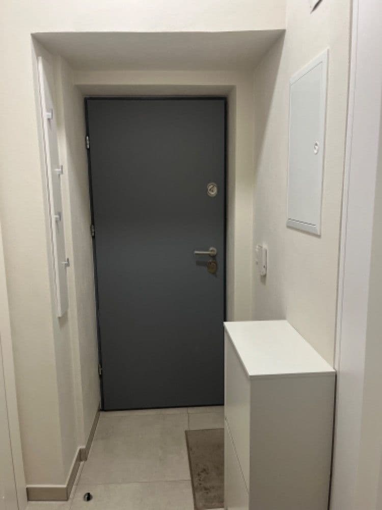 Prenájom bytu 1-izbový 26 m², Vítkova, Praha, Praha Prenájom bytu 1-izbový 26 m², Vítkova, Praha, Praha