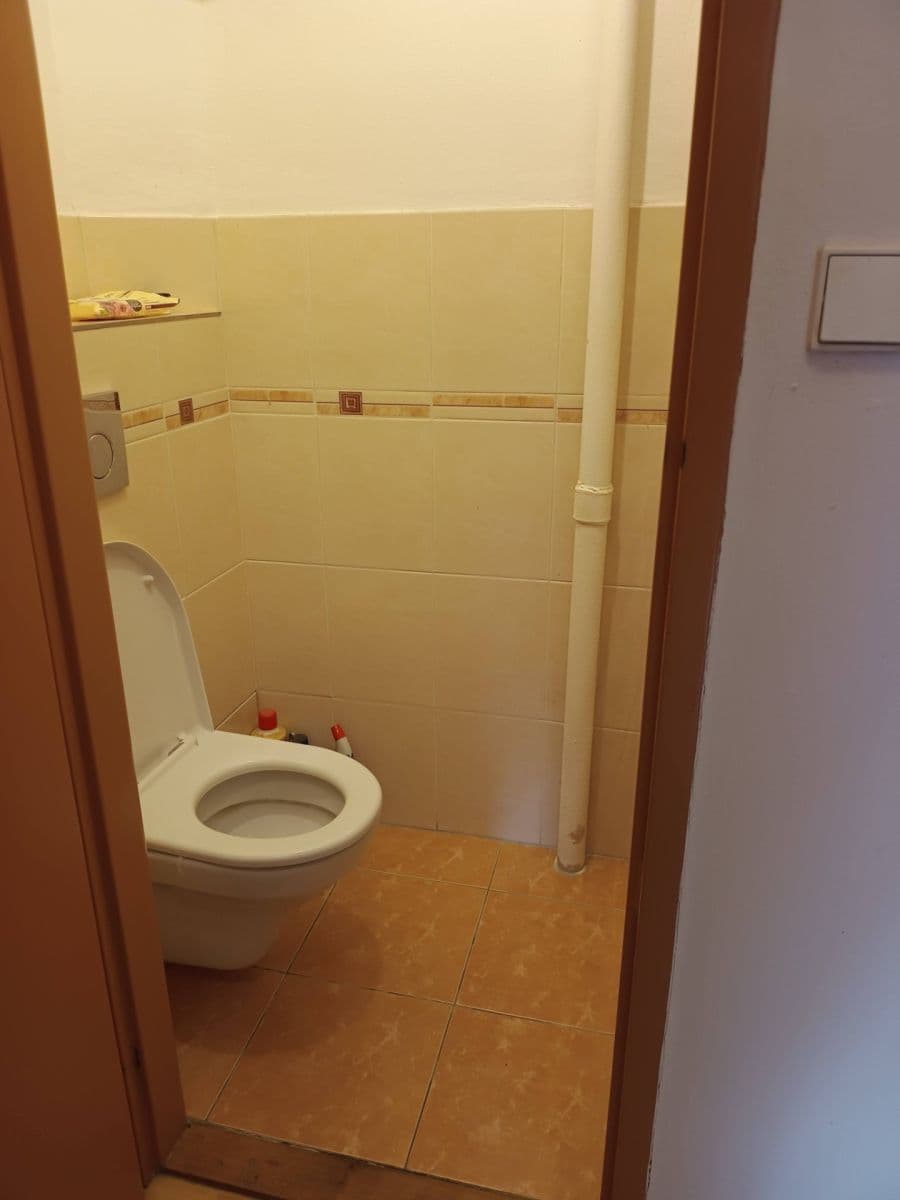 Prenájom bytu 1-izbový 48 m², Dačického, Praha, Praha Prenájom bytu 1-izbový 48 m², Dačického, Praha, Praha