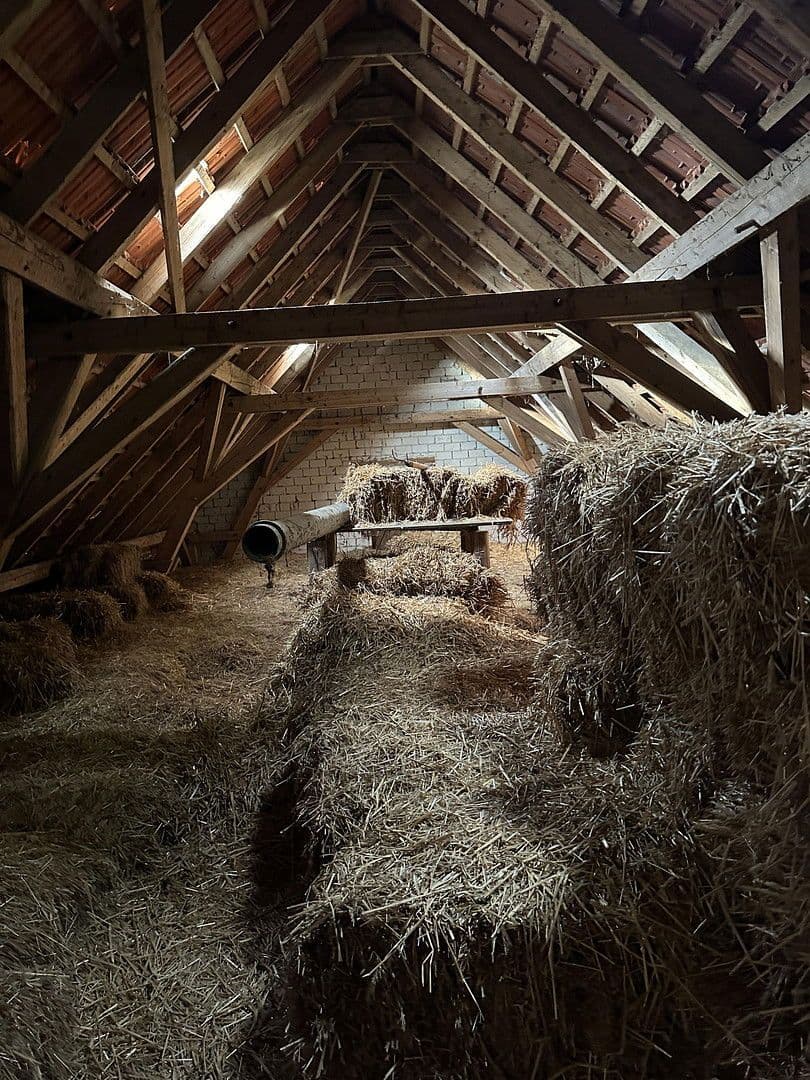 Predaj domu 144 m², pozemek 3.000 m², Brockum, Dolné Sasko Predaj domu 144 m², pozemek 3.000 m², Brockum, Dolné Sasko