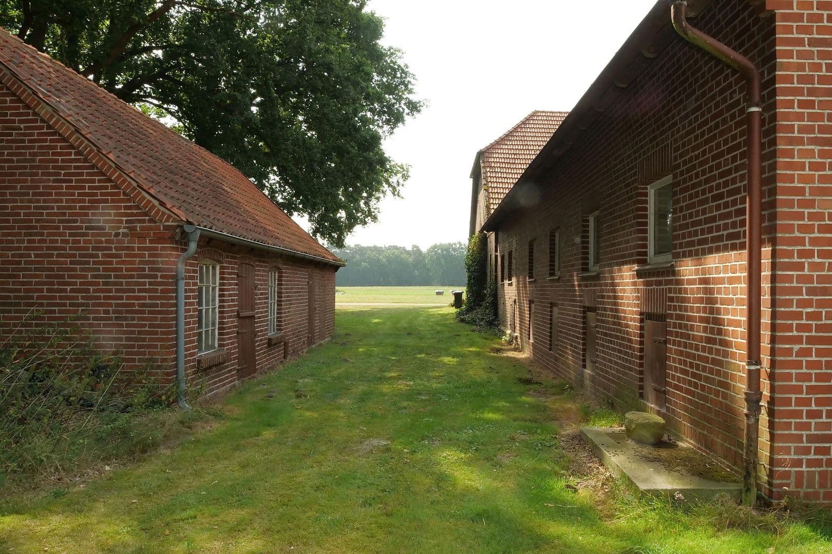 Predaj domu 144 m², pozemek 3.000 m², Brockum, Dolné Sasko Predaj domu 144 m², pozemek 3.000 m², Brockum, Dolné Sasko