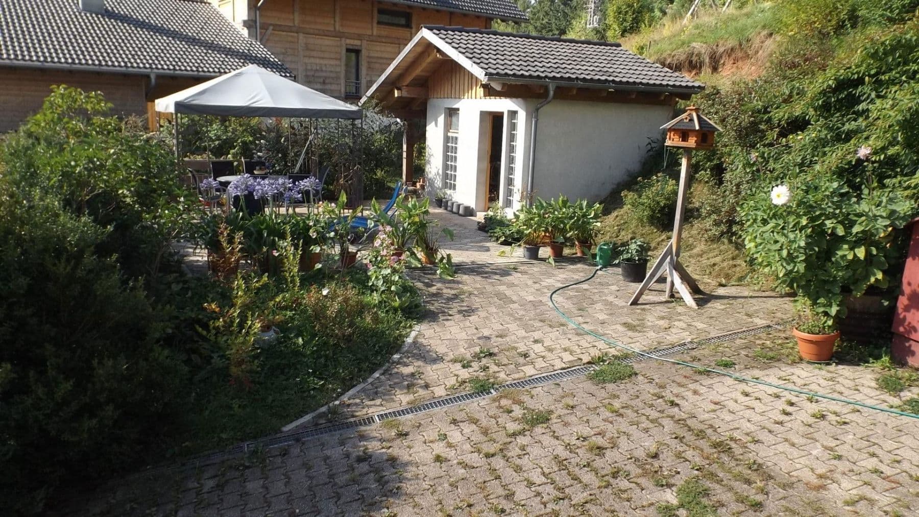 Predaj pozemku 220.000 m², Höchenschwand, Bádensko-Wurttembersko Predaj pozemku 220.000 m², Höchenschwand, Bádensko-Wurttembersko