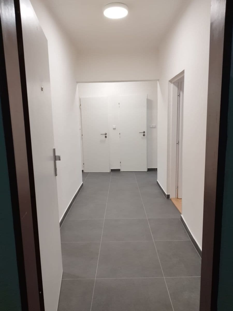 Prenájom bytu 1-izbový 78 m², Ruská, Praha, Praha Prenájom bytu 1-izbový 78 m², Ruská, Praha, Praha