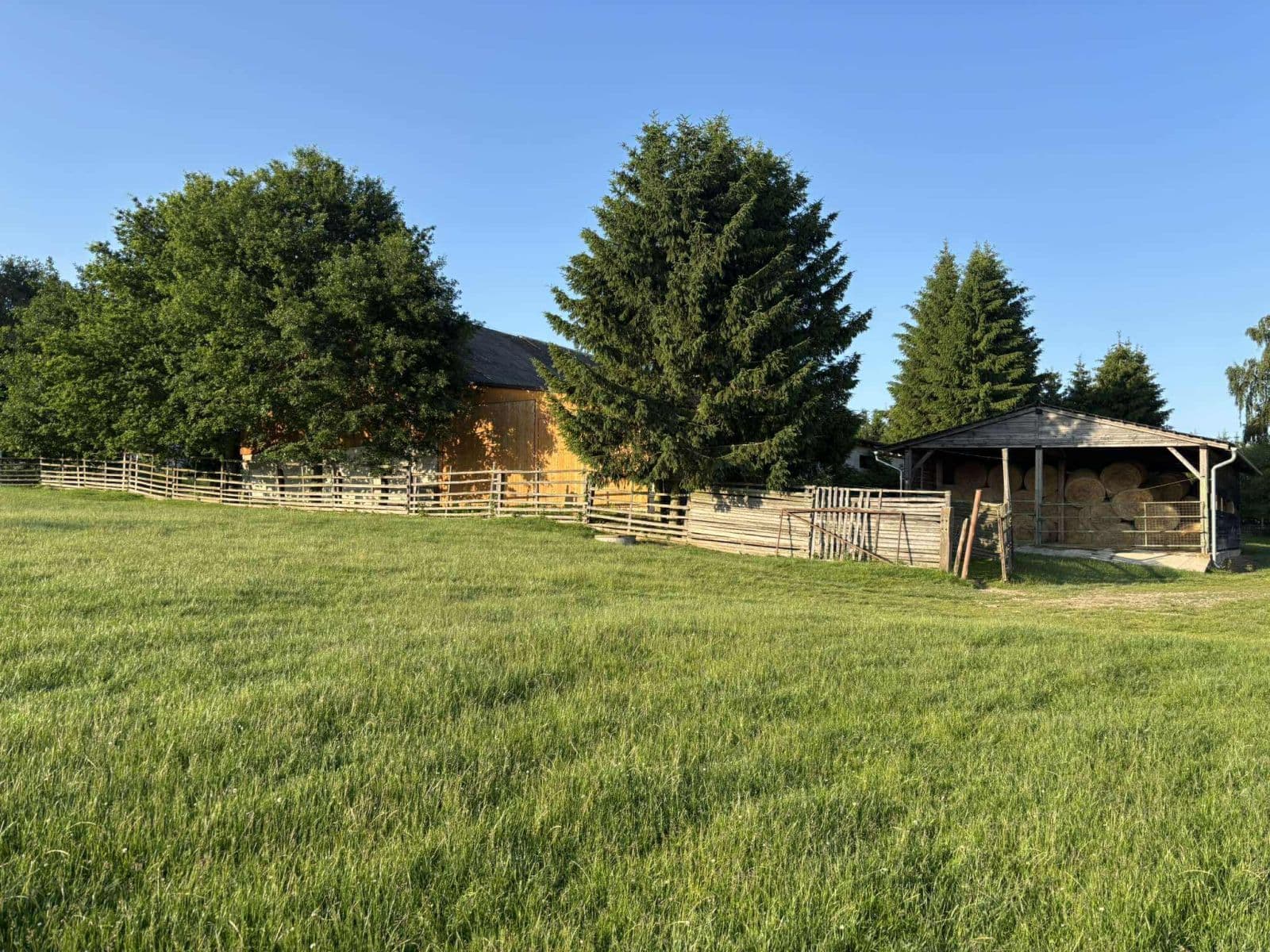 Predaj pozemku 420.000 m², Jirákova, Černovice, Kraj Vysočina Predaj pozemku 420.000 m², Jirákova, Černovice, Kraj Vysočina