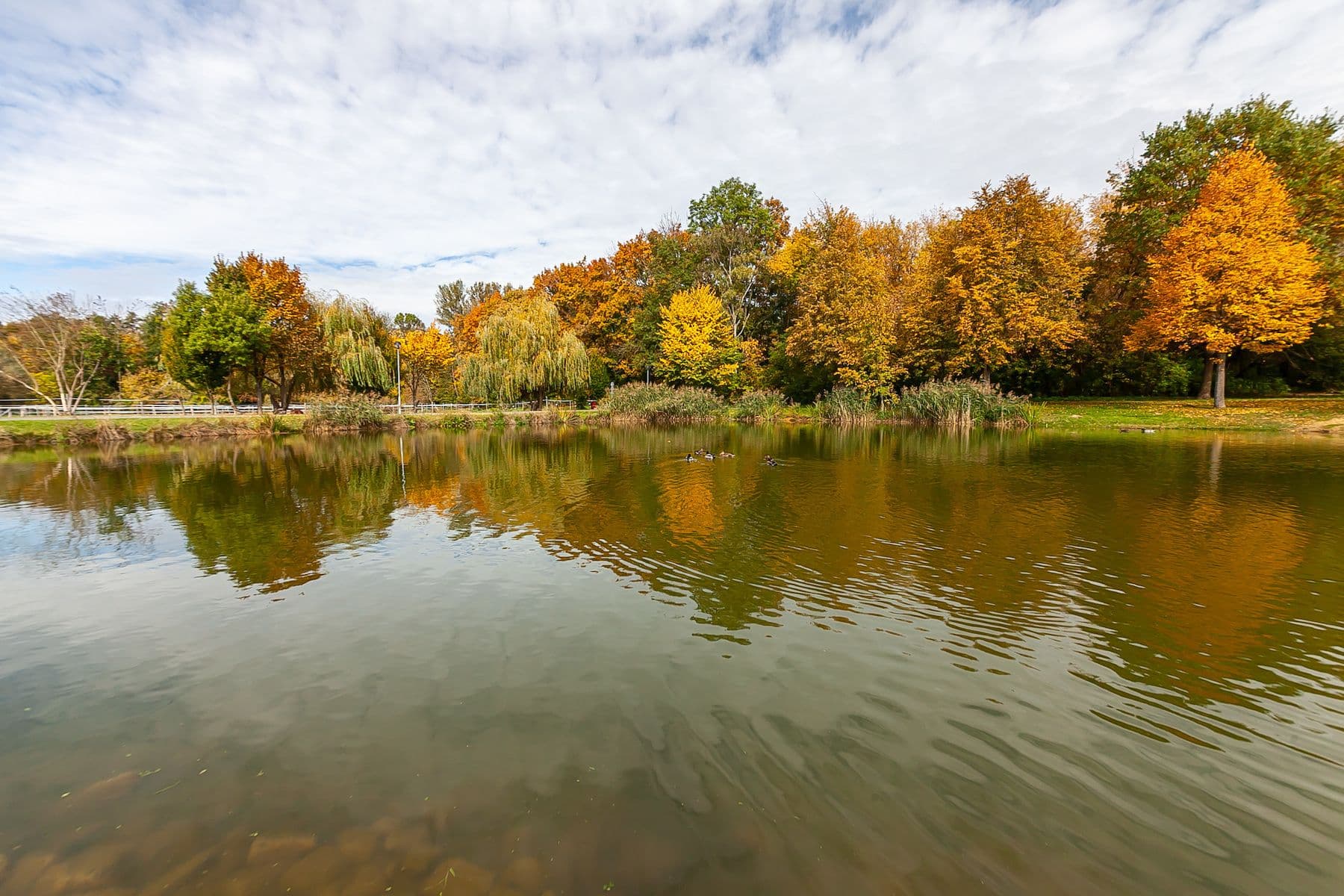 Predaj pozemku 1.078 m², Jenštejn, Středočeský kraj Predaj pozemku 1.078 m², Jenštejn, Středočeský kraj