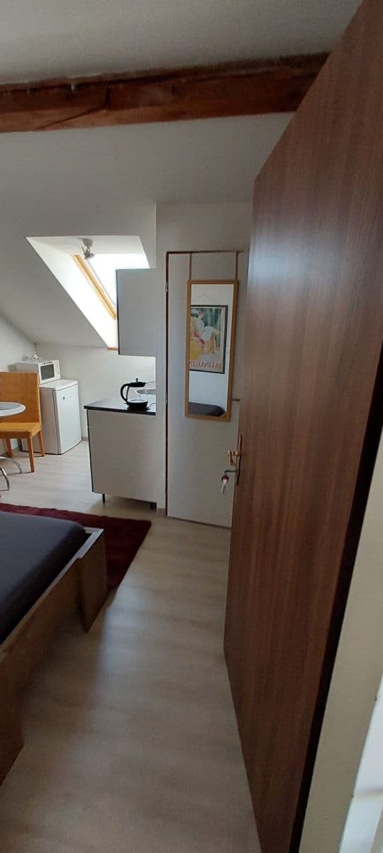 Prenájom bytu 1-izbový 20 m², Savojská, Praha, Praha Prenájom bytu 1-izbový 20 m², Savojská, Praha, Praha