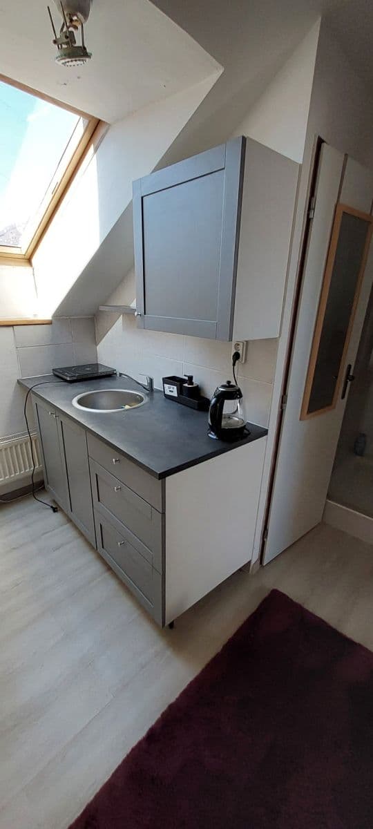 Prenájom bytu 1-izbový 20 m², Savojská, Praha, Praha Prenájom bytu 1-izbový 20 m², Savojská, Praha, Praha