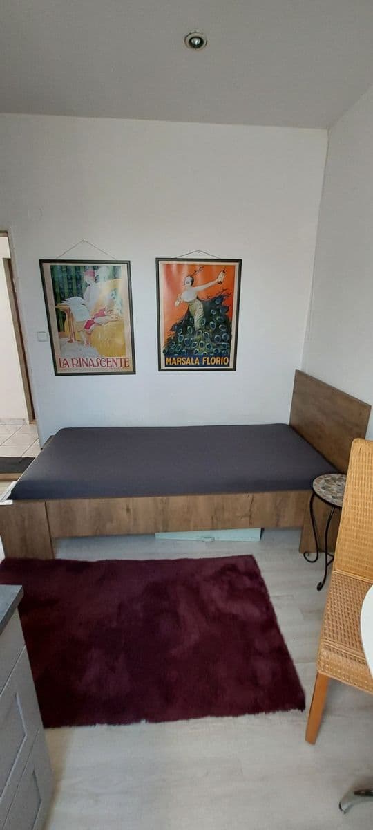 Prenájom bytu 1-izbový 20 m², Savojská, Praha, Praha Prenájom bytu 1-izbový 20 m², Savojská, Praha, Praha