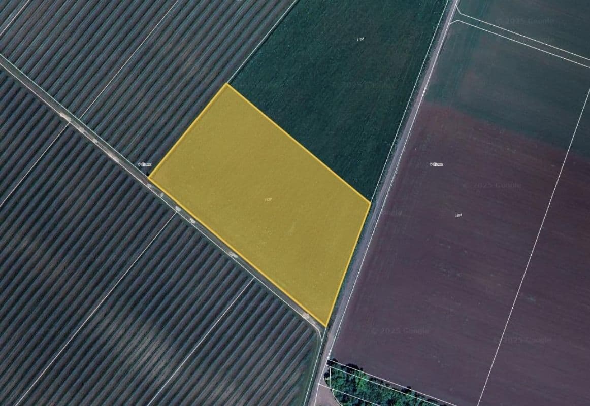 Predaj pozemku 3.547 m², Borotice, Jihomoravský kraj Predaj pozemku 3.547 m², Borotice, Jihomoravský kraj
