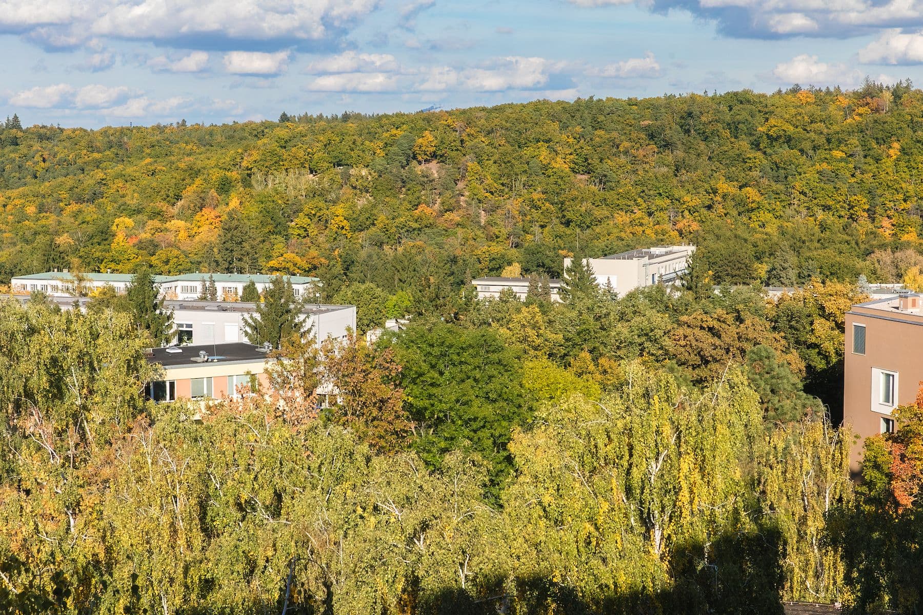 Predaj bytu 3-izbový 54 m², Sládkovičova, Praha, Praha Predaj bytu 3-izbový 54 m², Sládkovičova, Praha, Praha