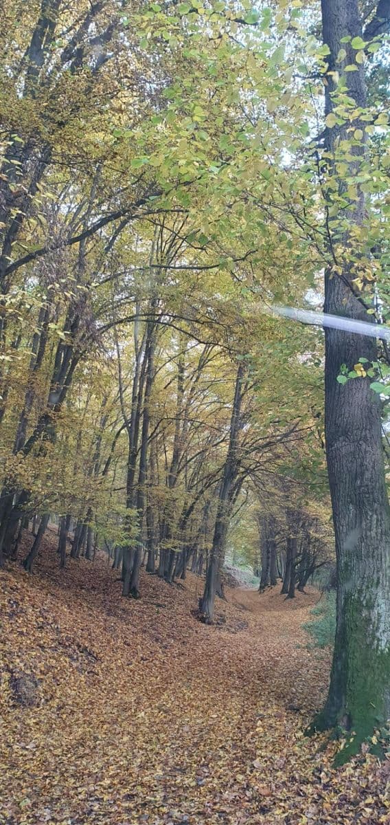 Predaj rekreačného objektu 46 m², pozemek 900 m², Bratřínov, Středočeský kraj Predaj rekreačného objektu 46 m², pozemek 900 m², Bratřínov, Středočeský kraj