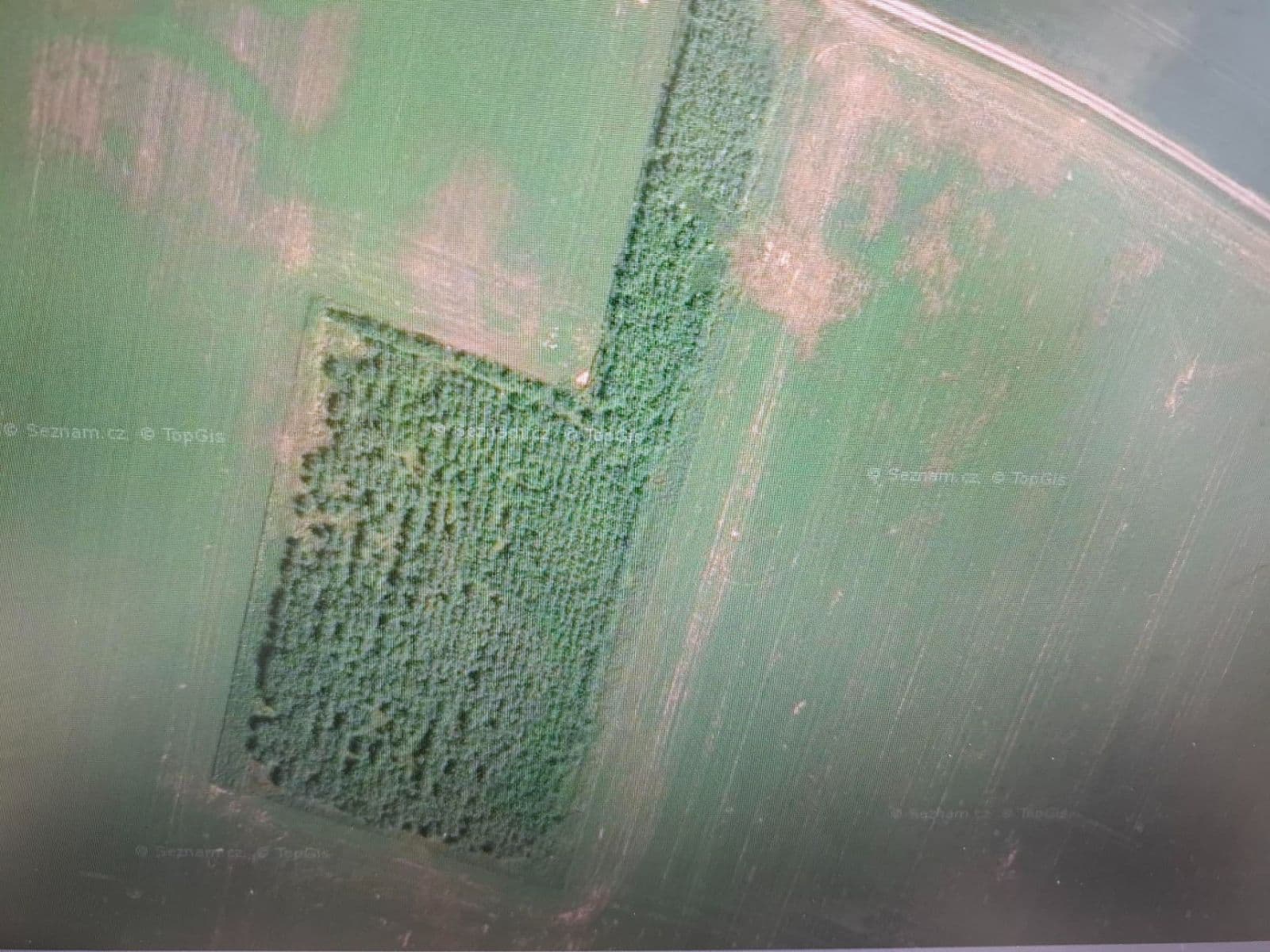 Predaj pozemku 16.294 m², Staré Hradiště, Pardubický kraj Predaj pozemku 16.294 m², Staré Hradiště, Pardubický kraj