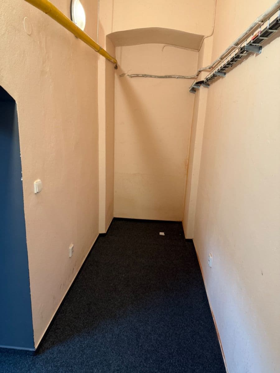 Prenájom nebytového priestoru 52 m², Čechova, Praha, Praha Prenájom nebytového priestoru 52 m², Čechova, Praha, Praha