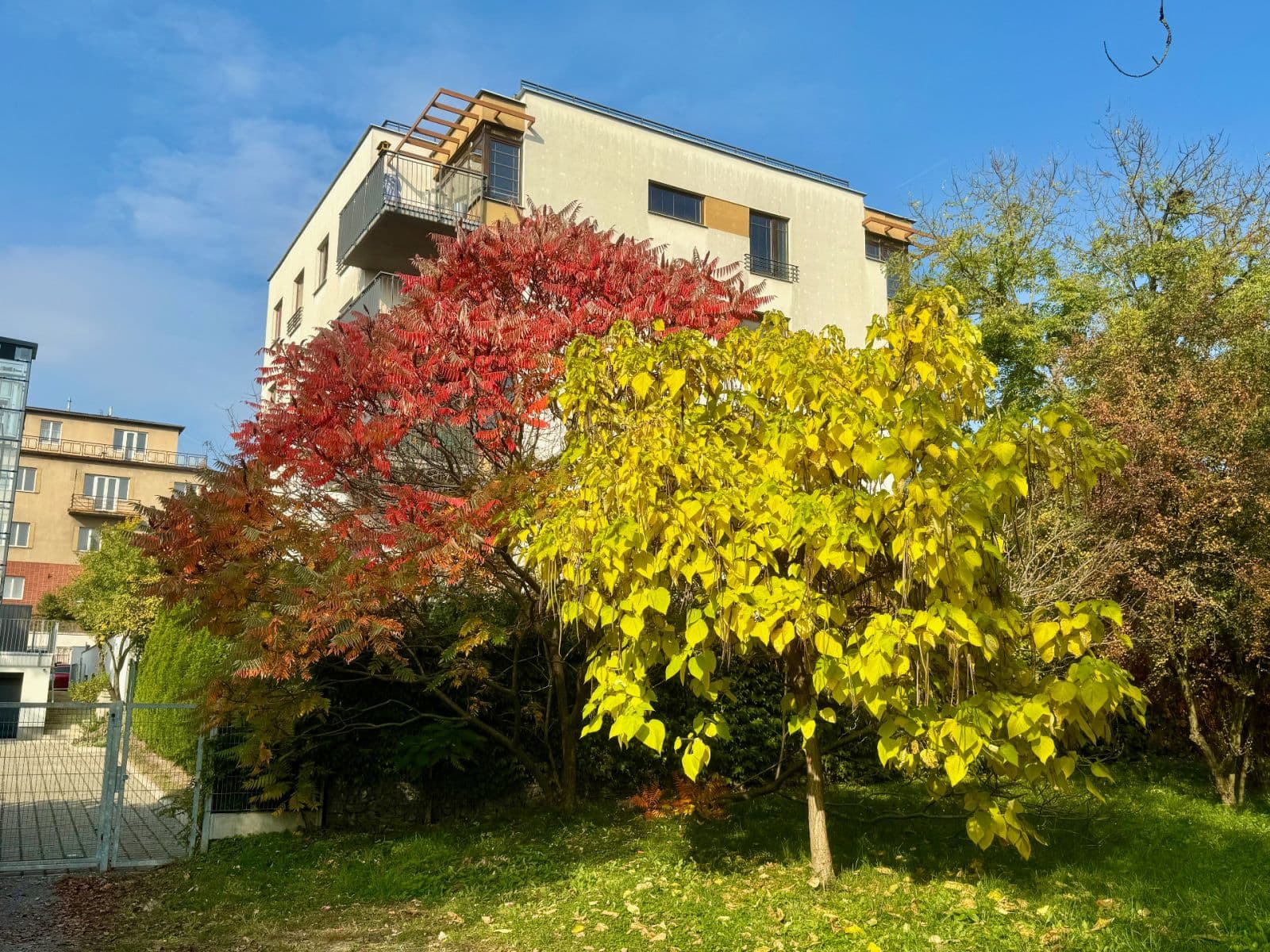 Predaj bytu 2-izbový 51 m², Nad Rokoskou, Praha, Praha Predaj bytu 2-izbový 51 m², Nad Rokoskou, Praha, Praha