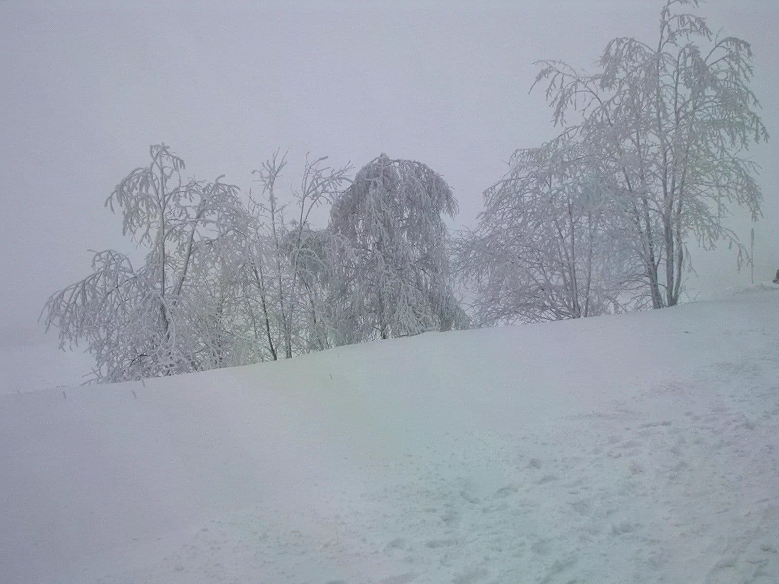 Prenájom bytu 34 m², Ramzová, Ostružná, Olomoucký kraj Prenájom bytu 34 m², Ramzová, Ostružná, Olomoucký kraj