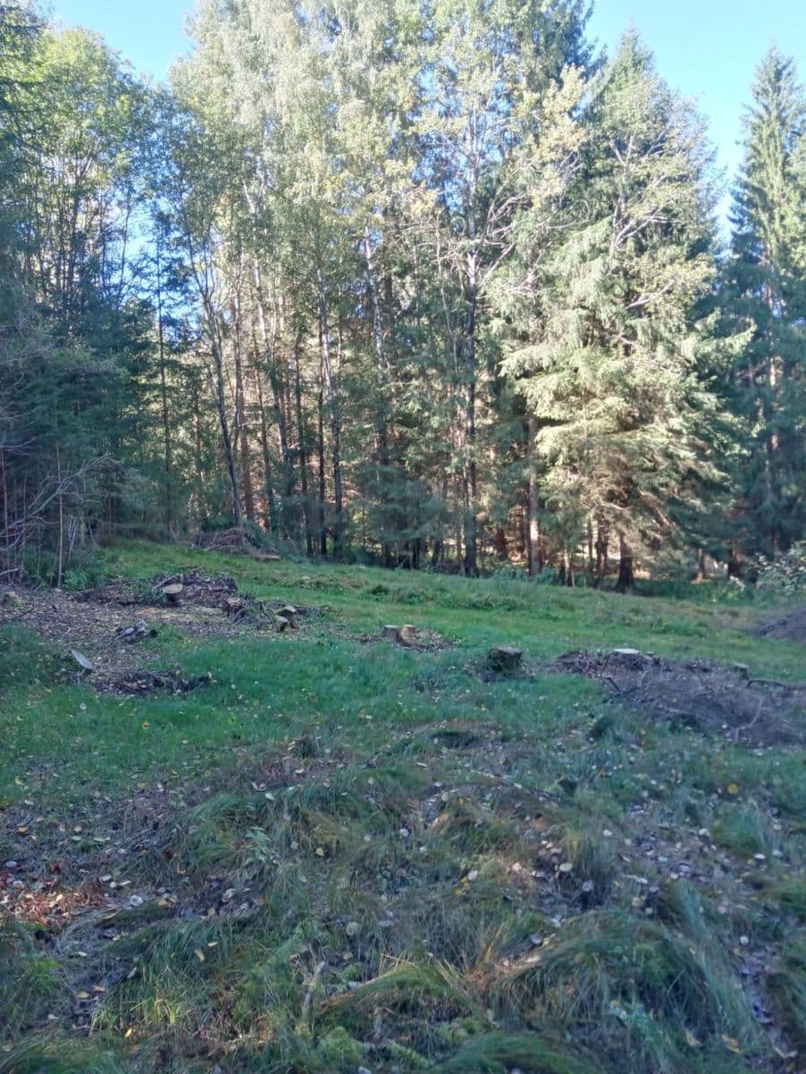 Predaj pozemku 765 m², Frymburk, Jihočeský kraj Predaj pozemku 765 m², Frymburk, Jihočeský kraj