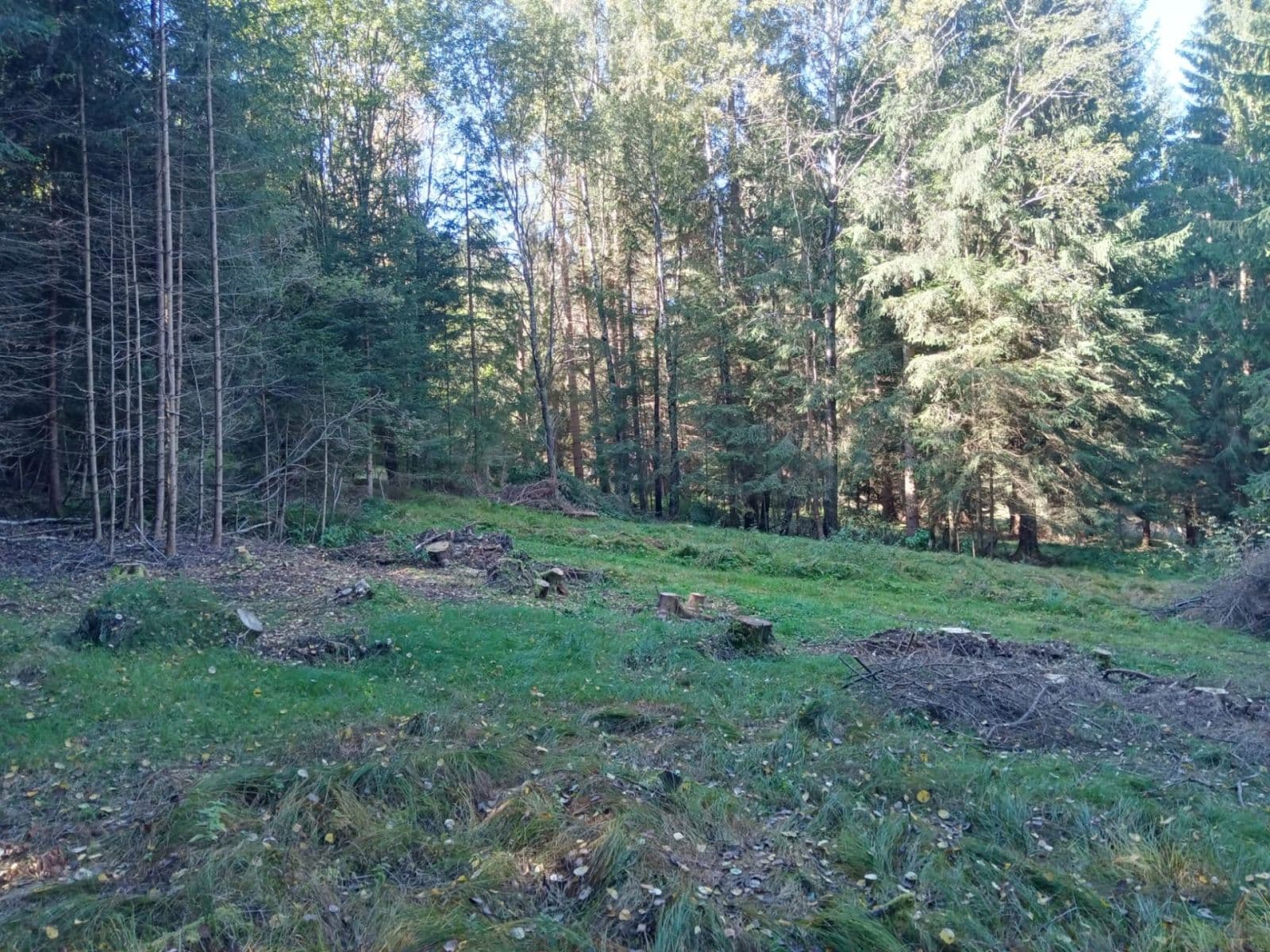 Predaj pozemku 765 m², Frymburk, Jihočeský kraj Predaj pozemku 765 m², Frymburk, Jihočeský kraj