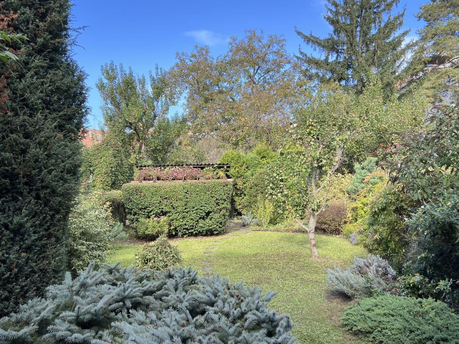 Predaj domu 278 m², pozemek 370 m², Zemědělská, Brno, Jihomoravský kraj Predaj domu 278 m², pozemek 370 m², Zemědělská, Brno, Jihomoravský kraj