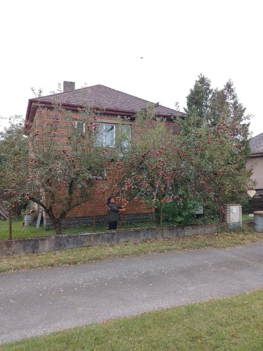 Predaj domu 230 m², pozemek 849 m², Čestín, Středočeský kraj Predaj domu 230 m², pozemek 849 m², Čestín, Středočeský kraj