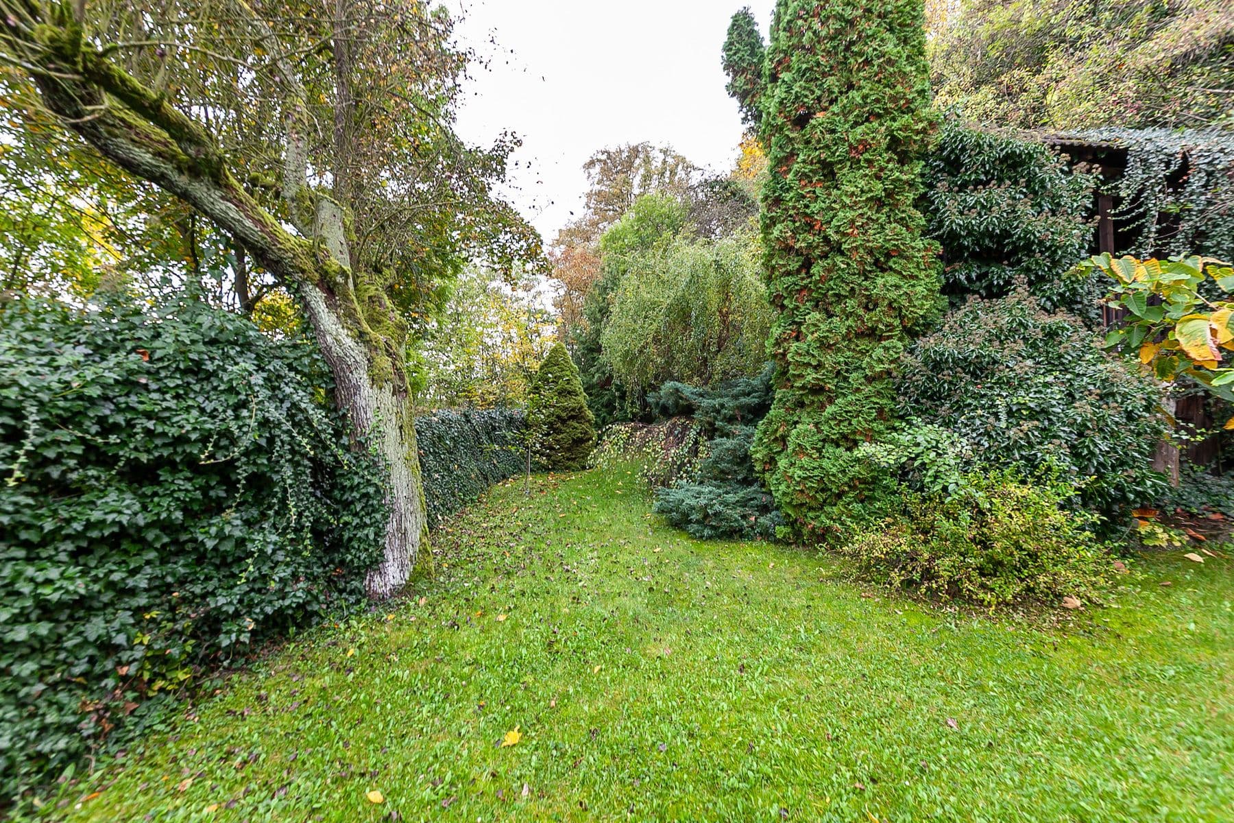 Predaj domu 55 m², pozemek 1.067 m², Mšeno, Středočeský kraj Predaj domu 55 m², pozemek 1.067 m², Mšeno, Středočeský kraj