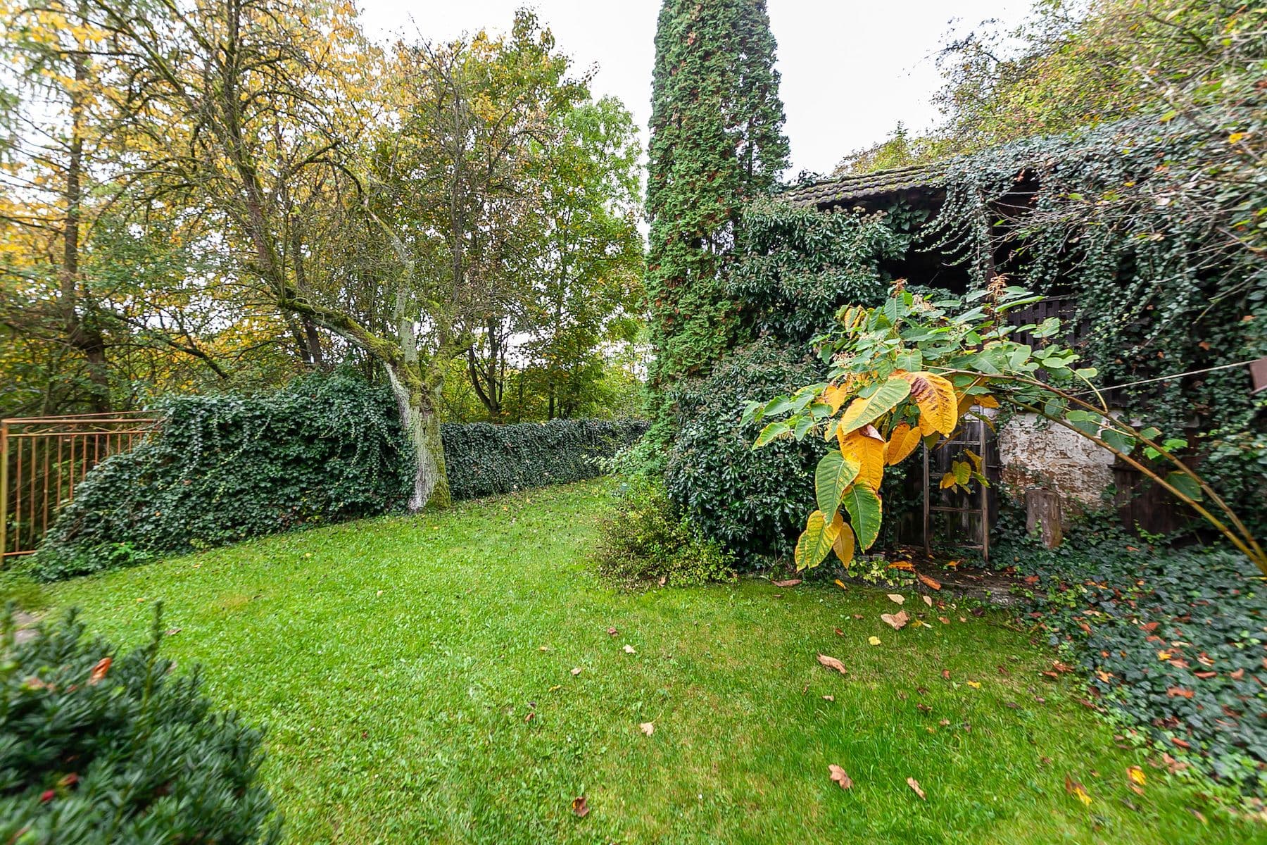 Predaj domu 55 m², pozemek 1.067 m², Mšeno, Středočeský kraj Predaj domu 55 m², pozemek 1.067 m², Mšeno, Středočeský kraj