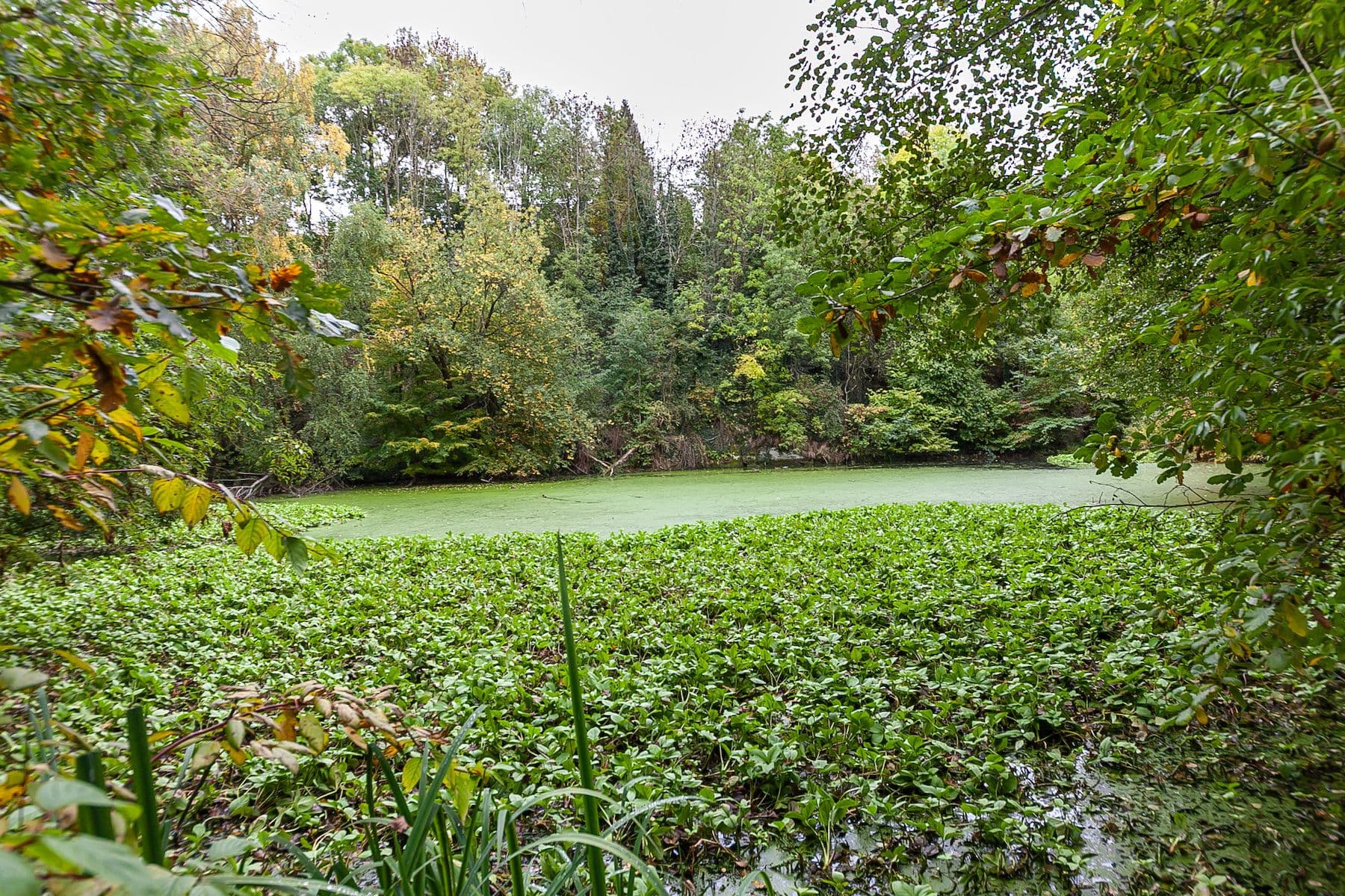 Predaj domu 55 m², pozemek 1.067 m², Mšeno, Středočeský kraj Predaj domu 55 m², pozemek 1.067 m², Mšeno, Středočeský kraj