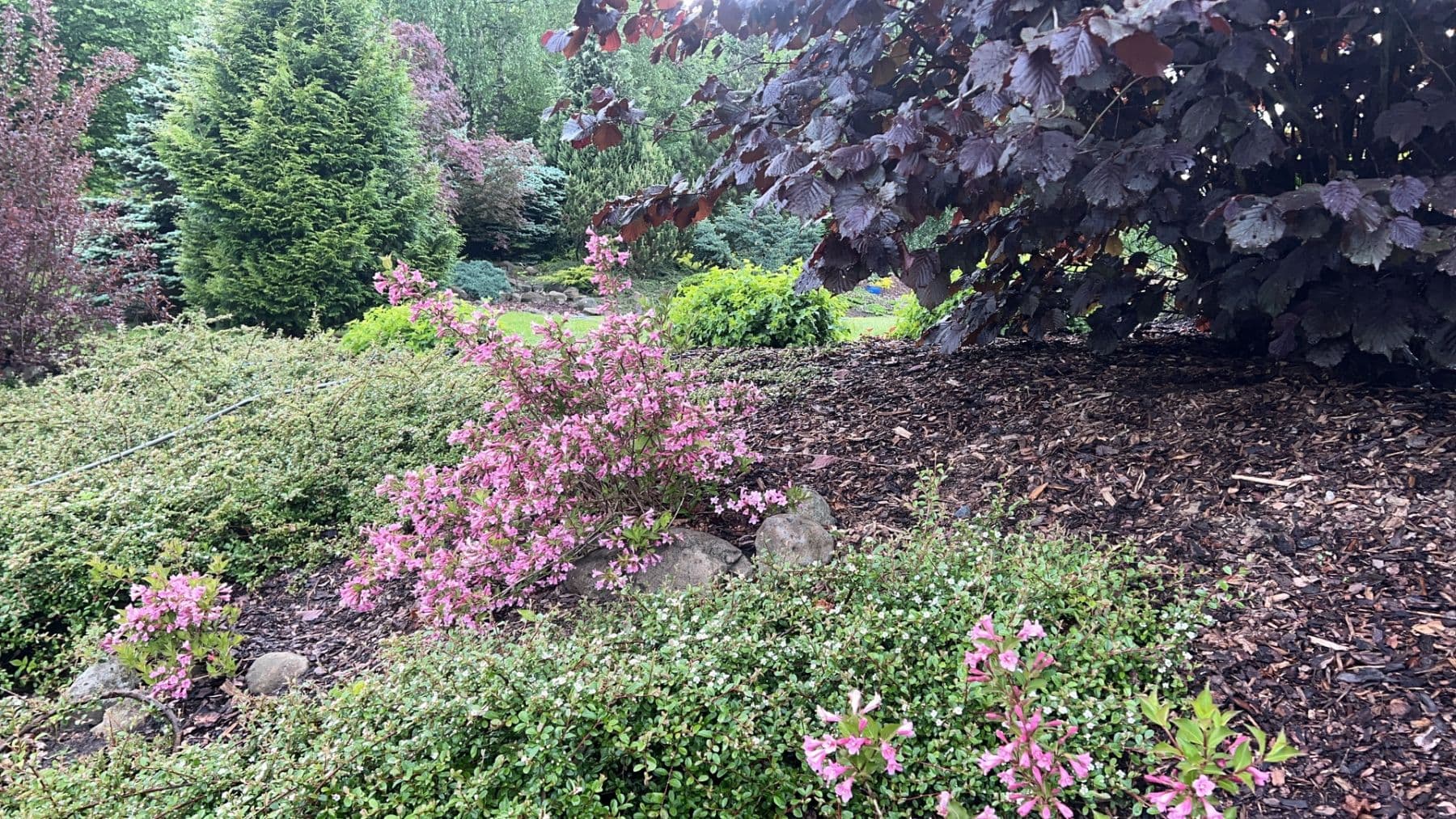 Predaj pozemku 806 m², Česká Lípa, Liberecký kraj Predaj pozemku 806 m², Česká Lípa, Liberecký kraj