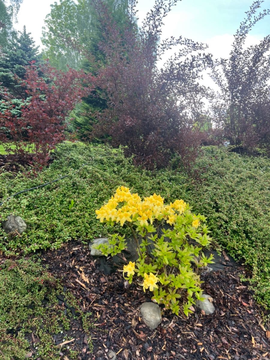 Predaj pozemku 806 m², Česká Lípa, Liberecký kraj Predaj pozemku 806 m², Česká Lípa, Liberecký kraj